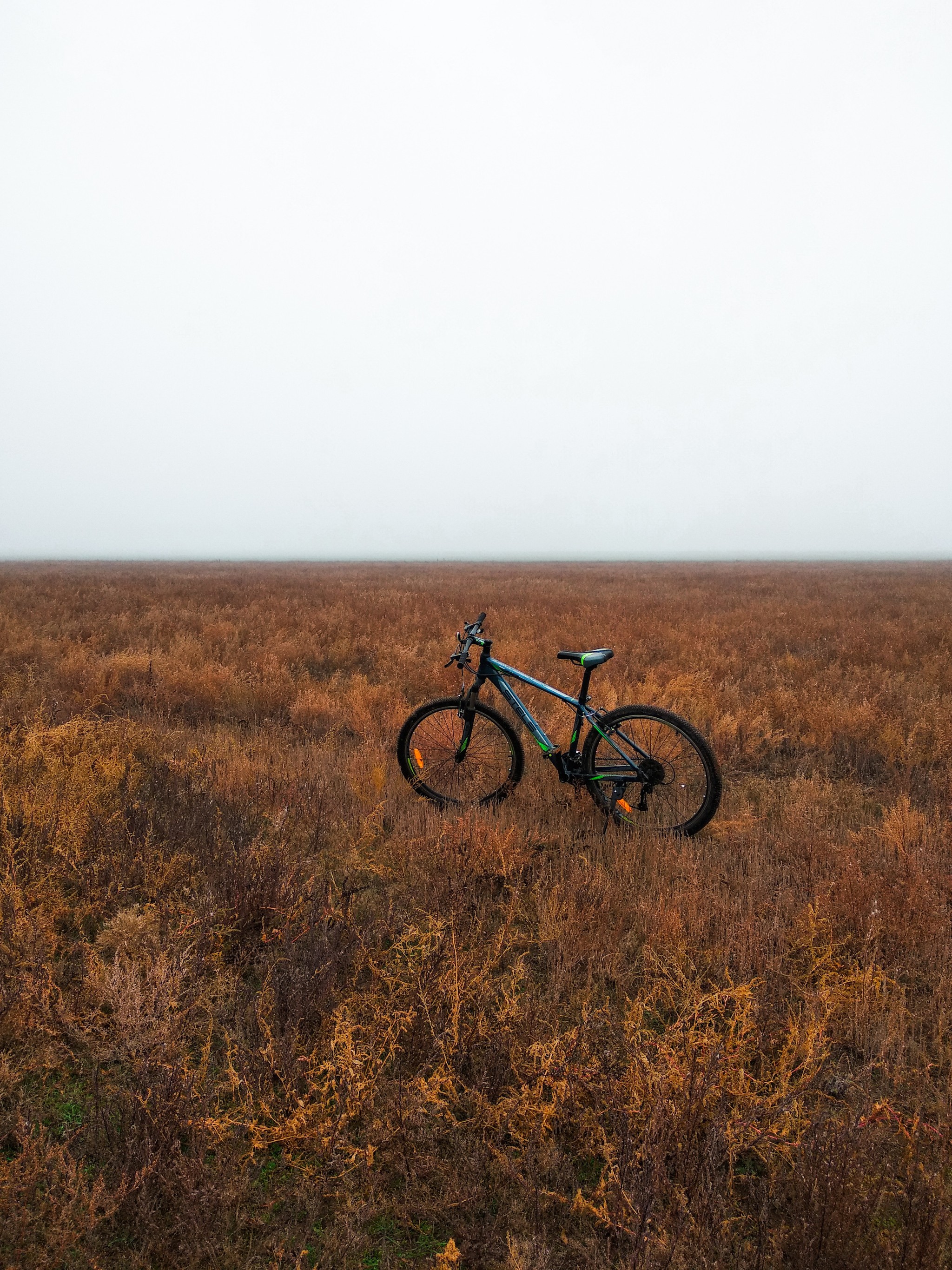 Drish flight in the steppe - My, A bike, Steppe, Fog, Nature, The photo, Longpost