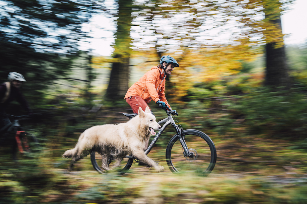 Along the trails of Northern England with a dog) - A bike, Dog, Pokatushki, Trail, Mtb, friendship, Video, Longpost