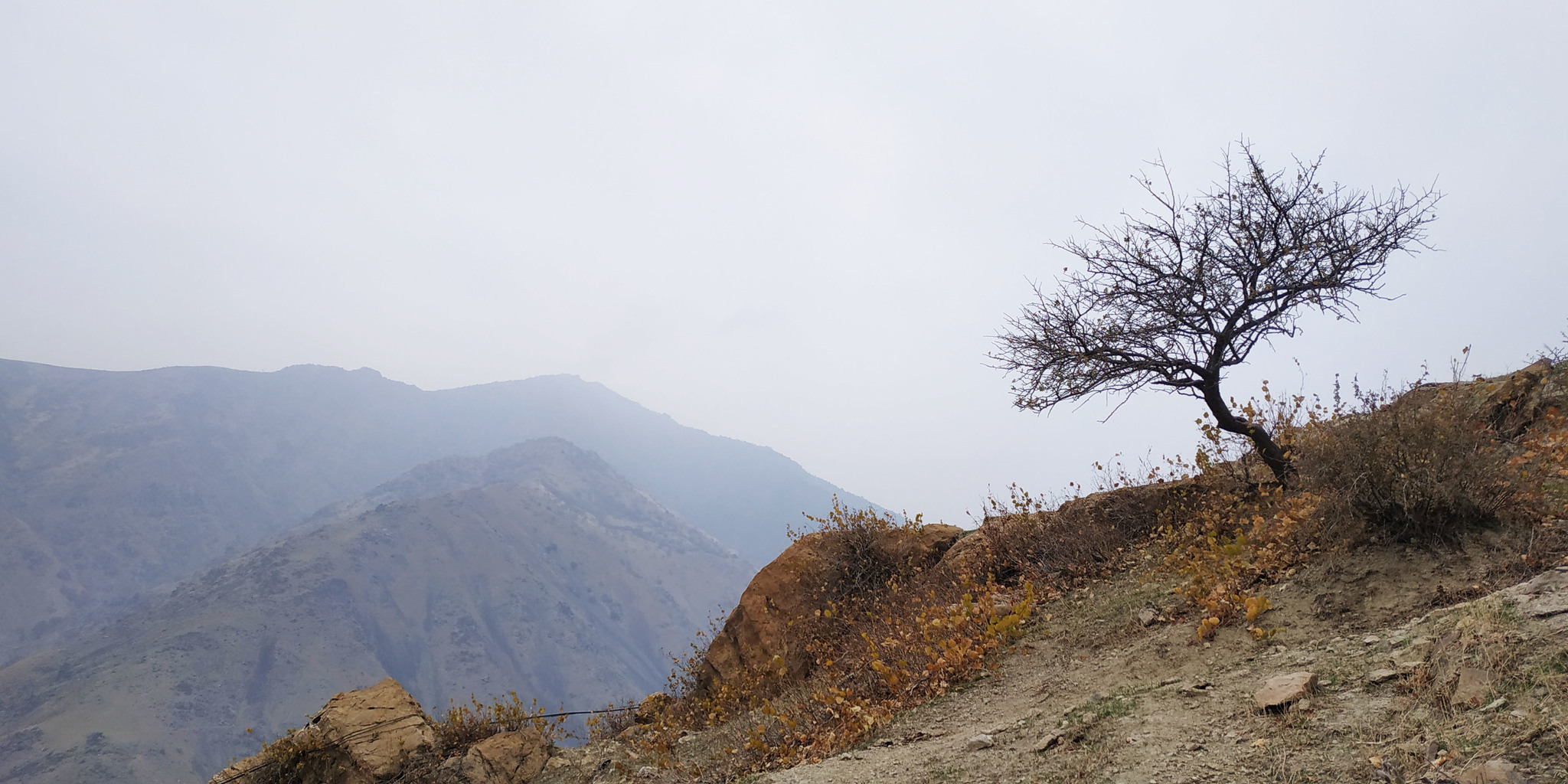 No geometry) - My, Nature, Autumn, Longpost, Tajikistan, The mountains