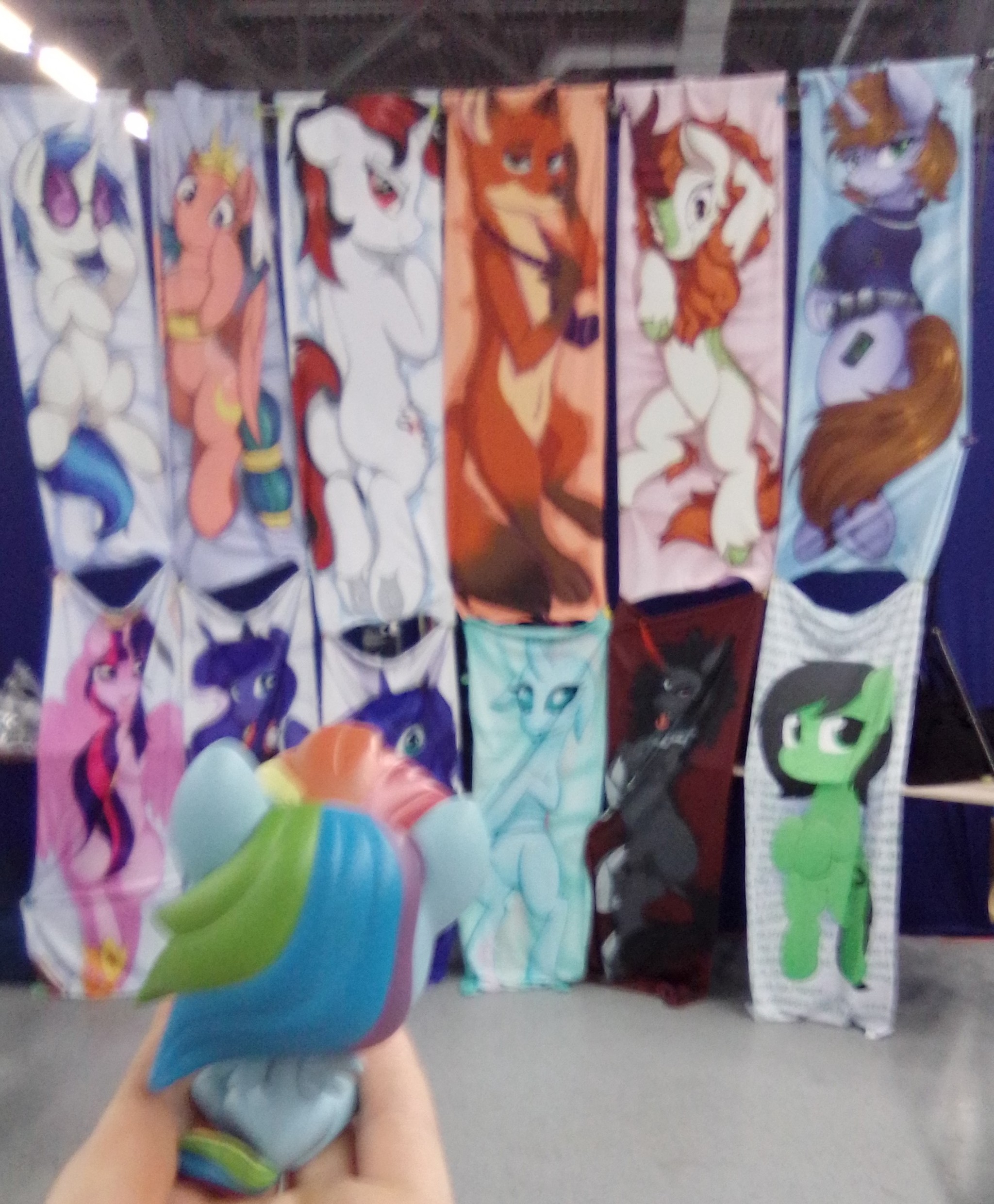 How is the exhibition day DerpFest Infinity going? - Derpfest, Rainbow dash, Dakimakura, Longpost, My little pony