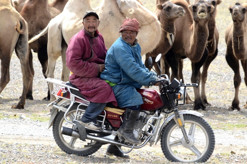 Western Mongolia 2017 - My, Travels, Country, Jeepers, Tourism, Mongolia, Longpost