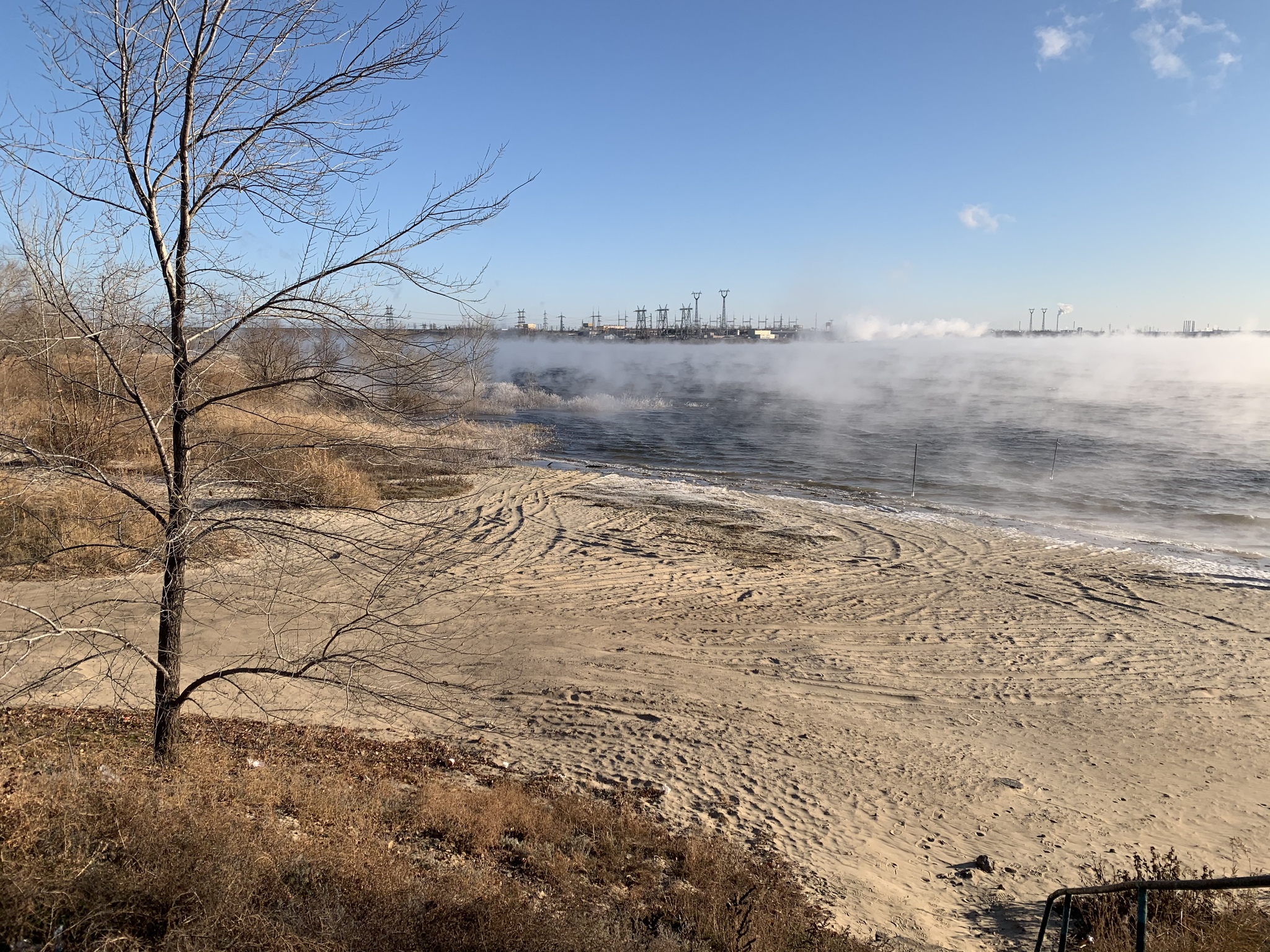 When the weather suggests it's time to put on your underpants. - My, Dog, Volgograd, freezing, Longpost