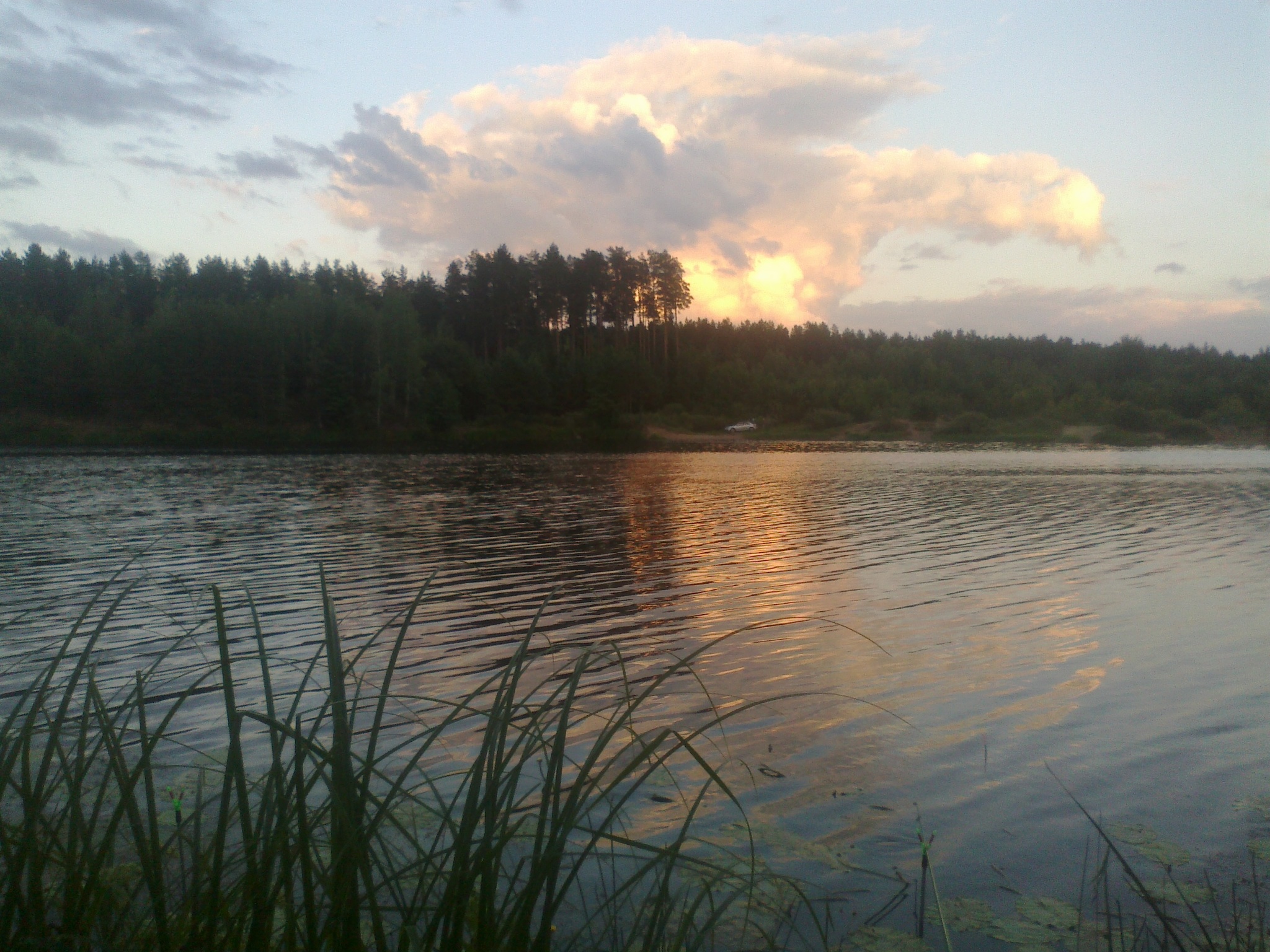 Summer... - My, The photo, Nature, Republic of Belarus, Longpost