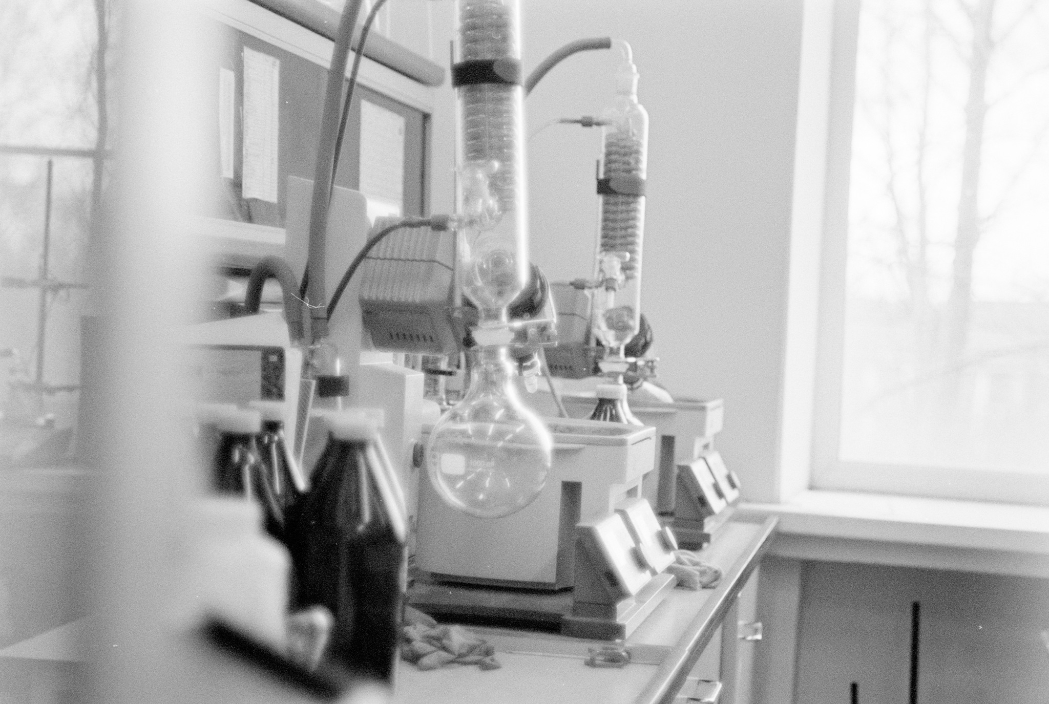 In the laboratory - My, Nikon, Ilford, Film