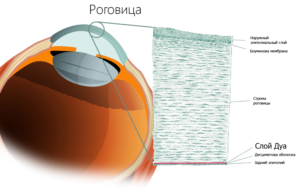 Laser vision correction - Ophthalmology, Eyes, Laser correction, Operation, Longpost