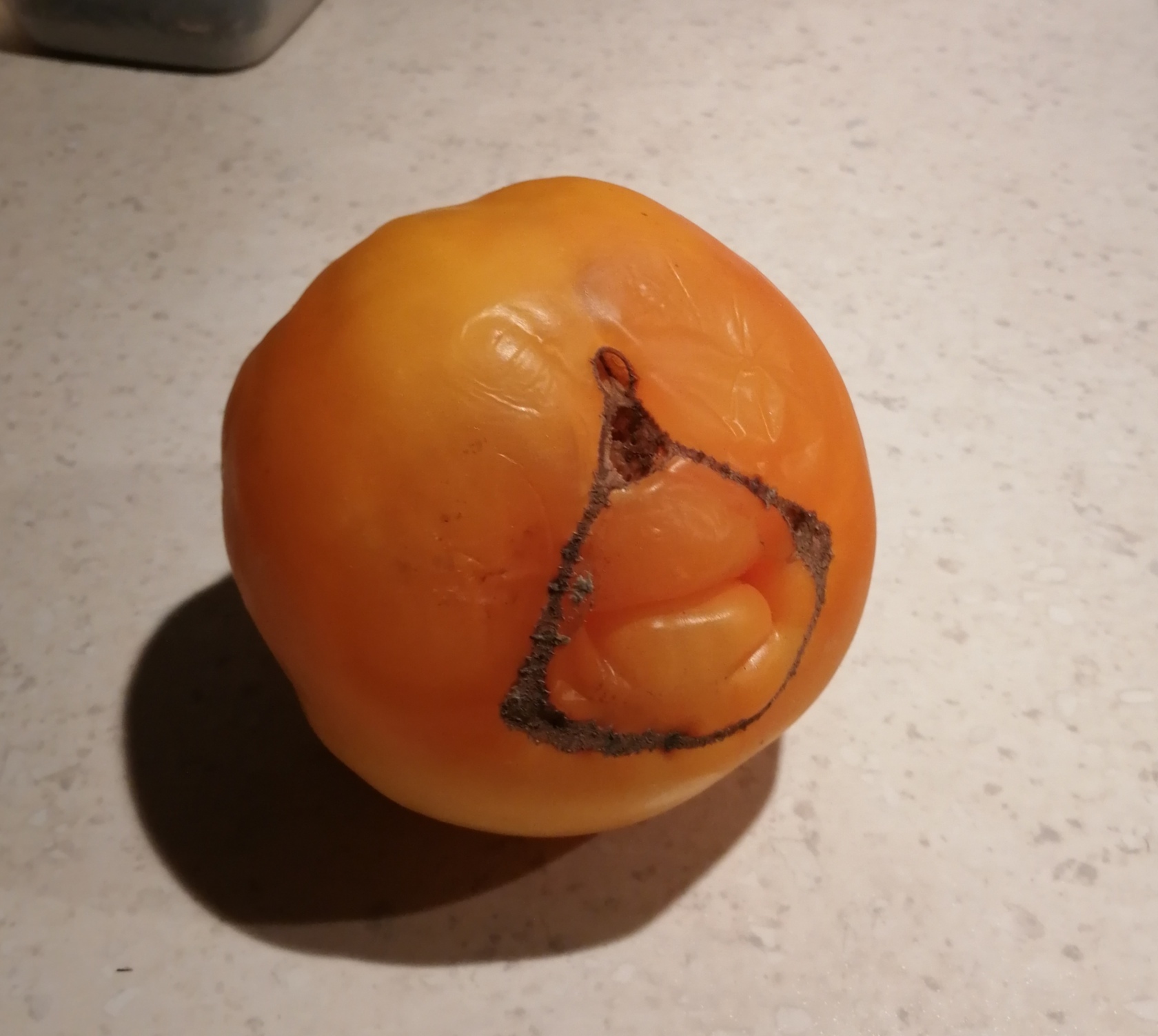 Ingratiating tomato - My, Tomatoes, It seemed, Pareidolia, Vegetables, Funny