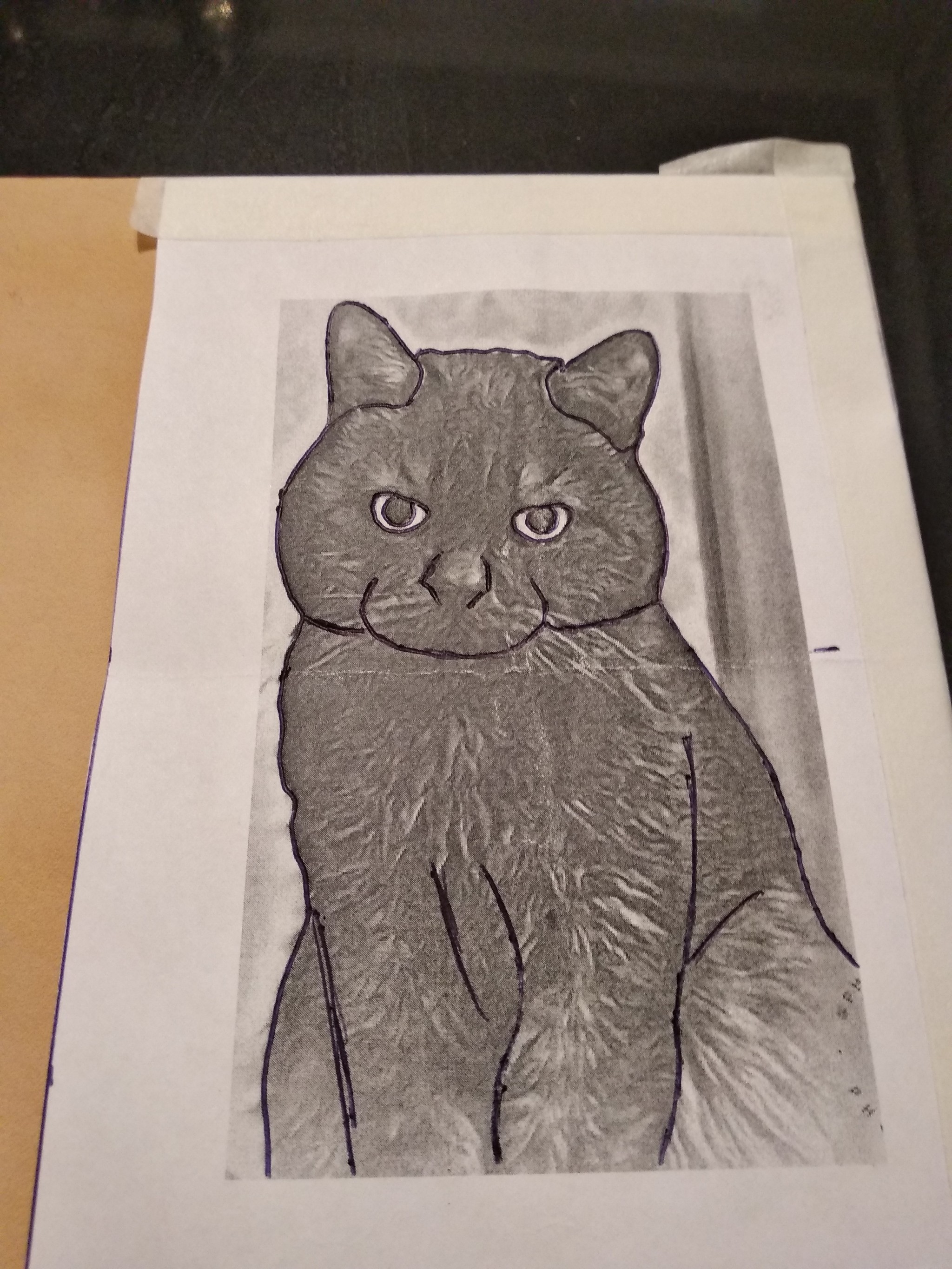 Evolution of a cat - My, Leather, cat, Needlework without process, GIF, Longpost