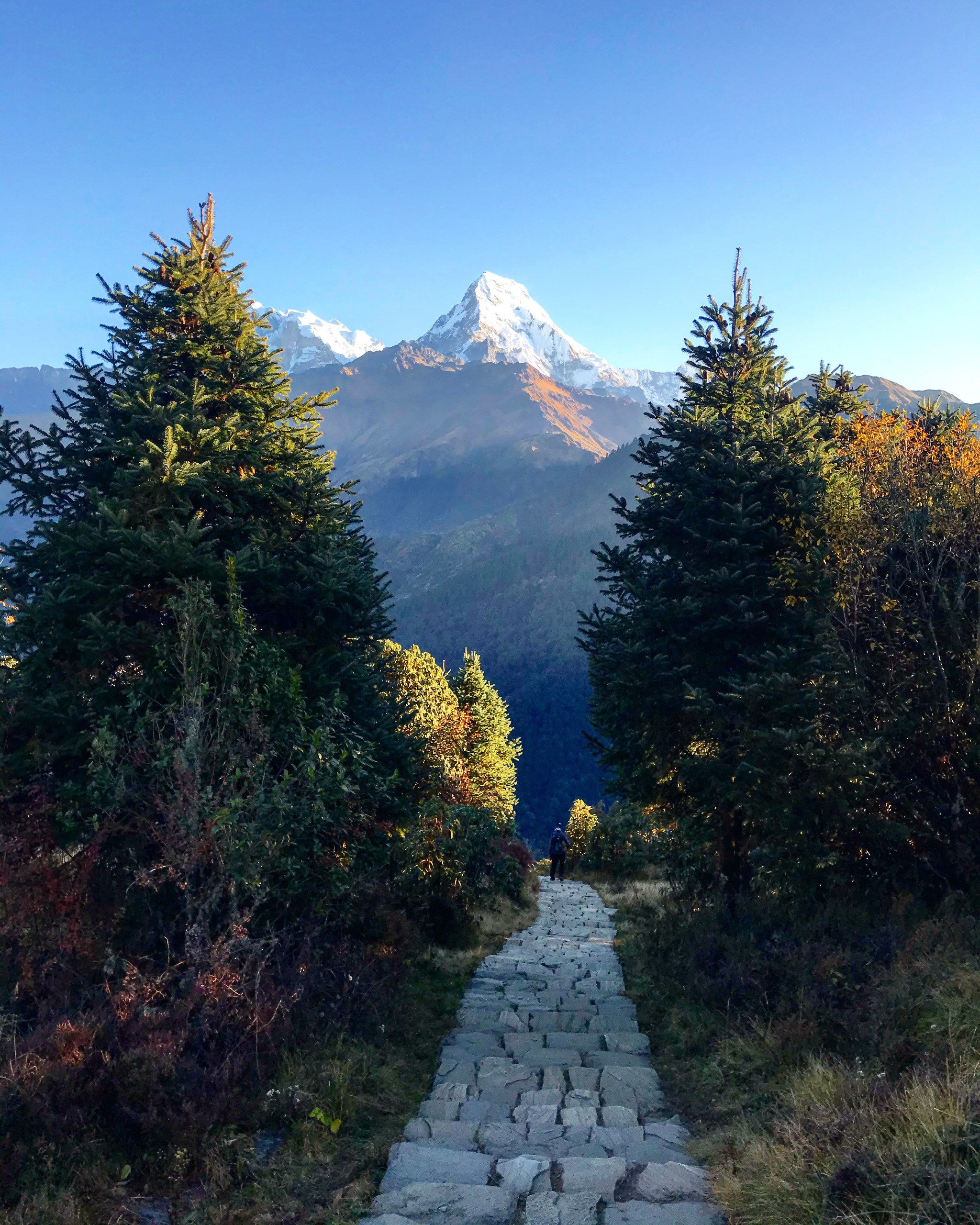 Nepal. Trek around Annapurna. - My, Nepal, Track, Longpost