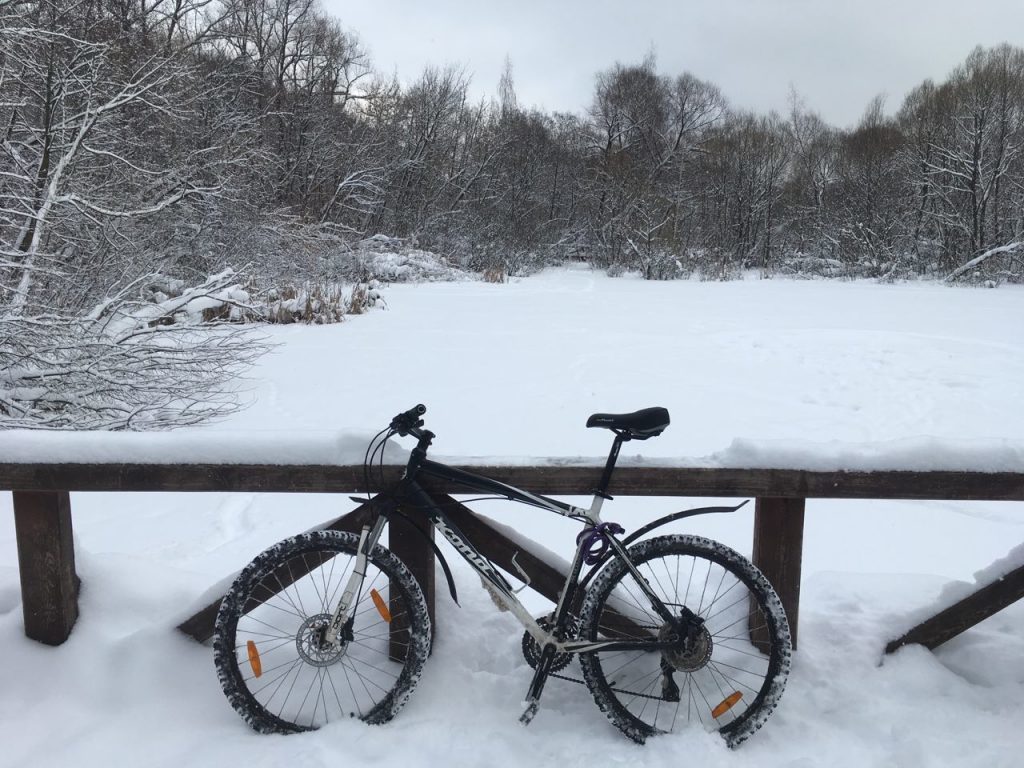 Biking on snow and ice: how I fell in love with winter - Life stories, A life, A bike, Disgusting Men, Longpost