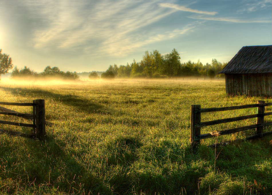 Once upon a time in the Volga region - My, Grandfather, Potato, Horses, Real life story, Memories, Story, Longpost