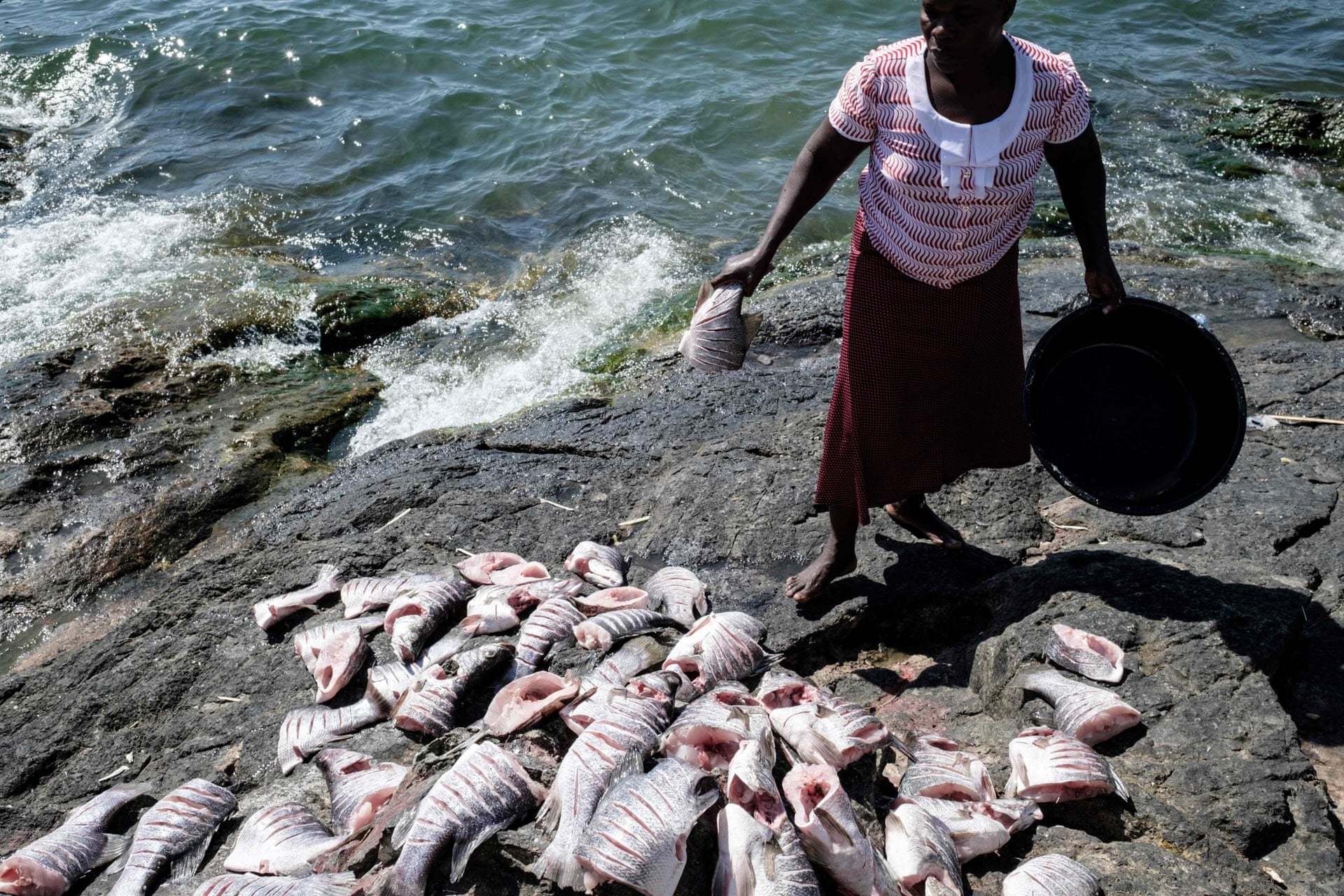 I want to know everything #523. Life on the most densely populated island in the world. And on this island there is no calendar..)) - Island, People, Fishermen, The photo, Interesting, Longpost, Kenya, Uganda, Lake Victoria