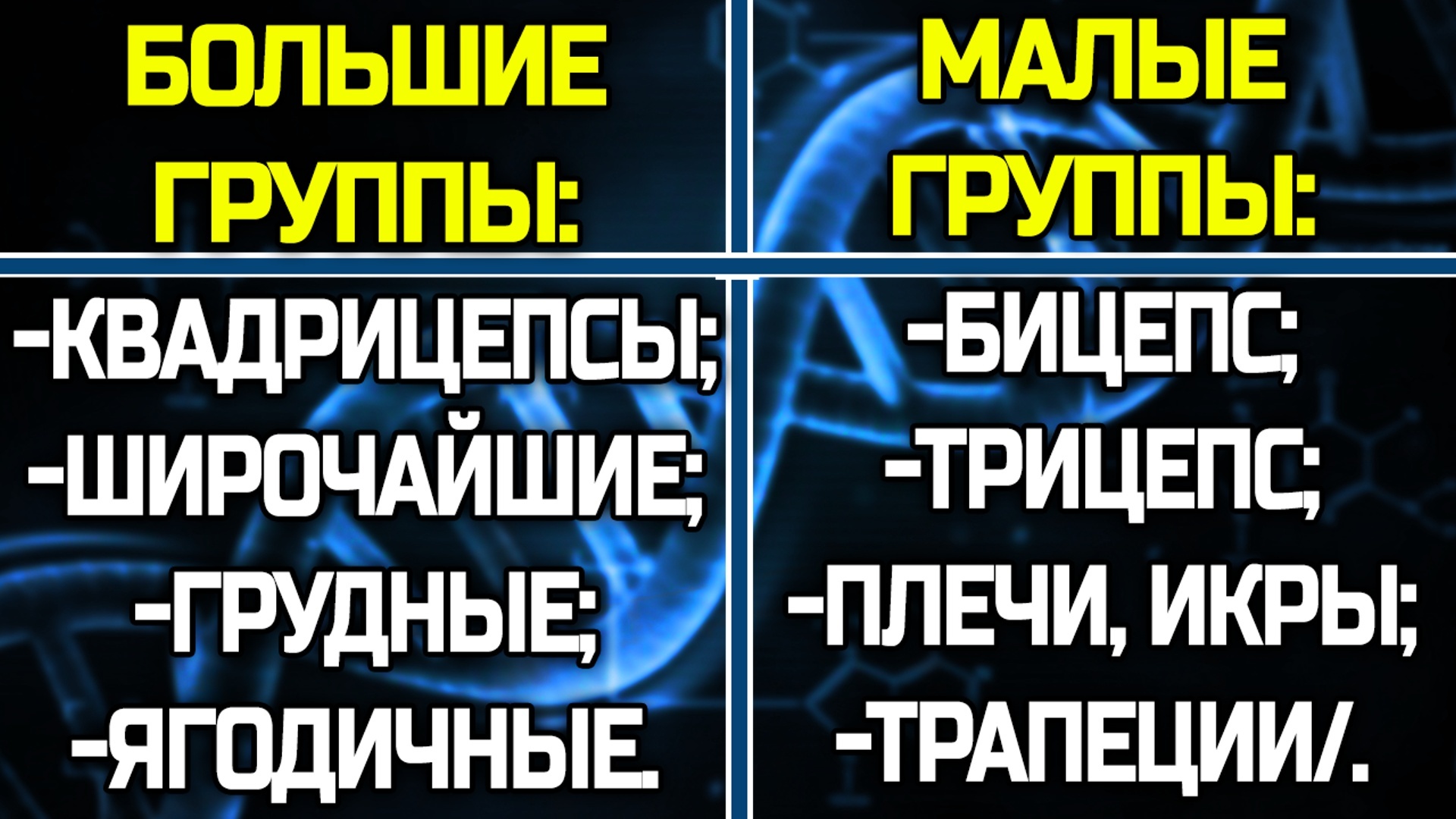 РЕАЛЬНЫЕ размеры скелетных мышц человека. Такое стоит увидеть! - Моё, Мышцы, Размер, Тренажерный зал, Качок, Фитнес, Бодибилдинг, Длиннопост