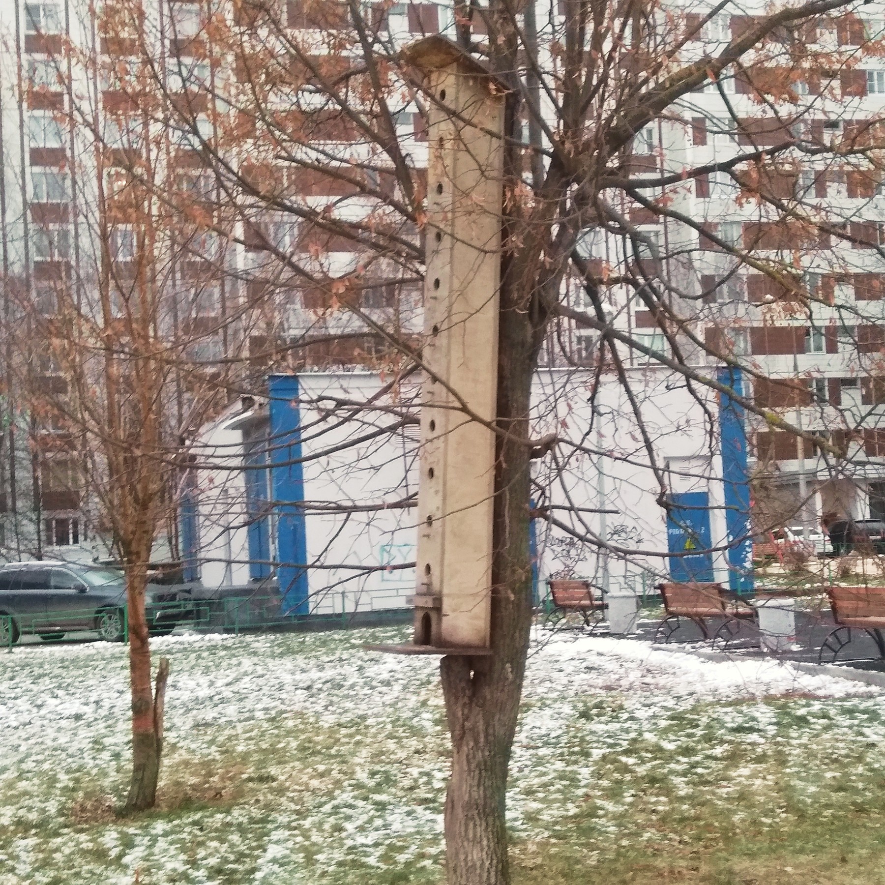 Maximum birdhouse - My, Zelenograd, Birdhouse