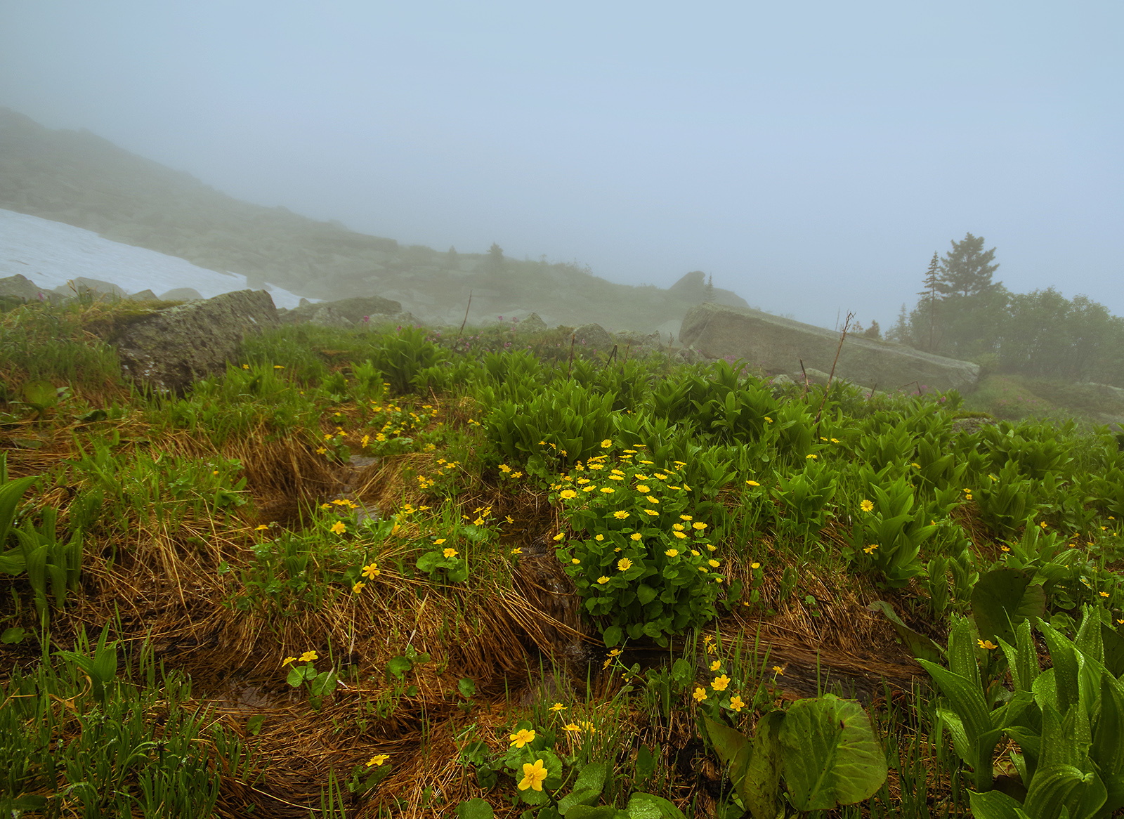 Why did we go to the Taiga Eye? - My, Ergaki, Travels, Mountain tourism, Michael, Health, The photo, Landscape, wildlife, Longpost