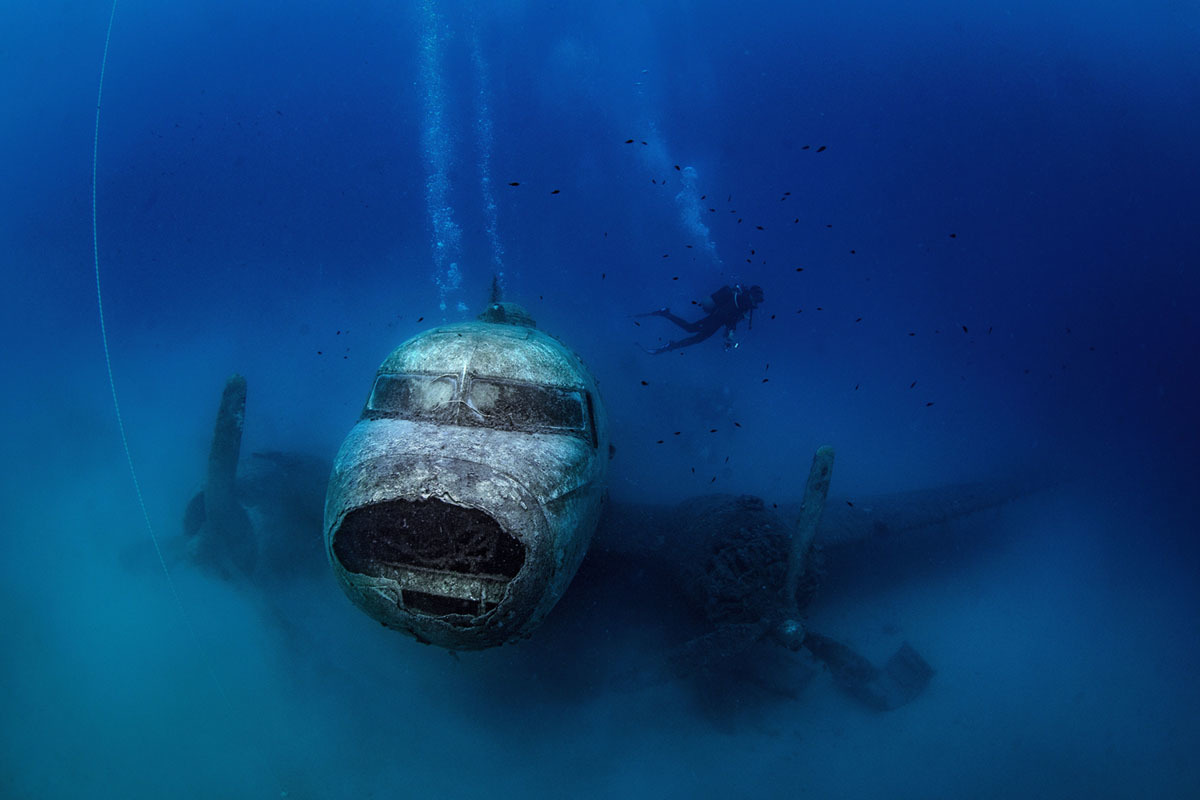 The most powerful photos of November 2019 - The photo, Buzzfeed, A selection, Interesting, Translation, Longpost, The Guardian