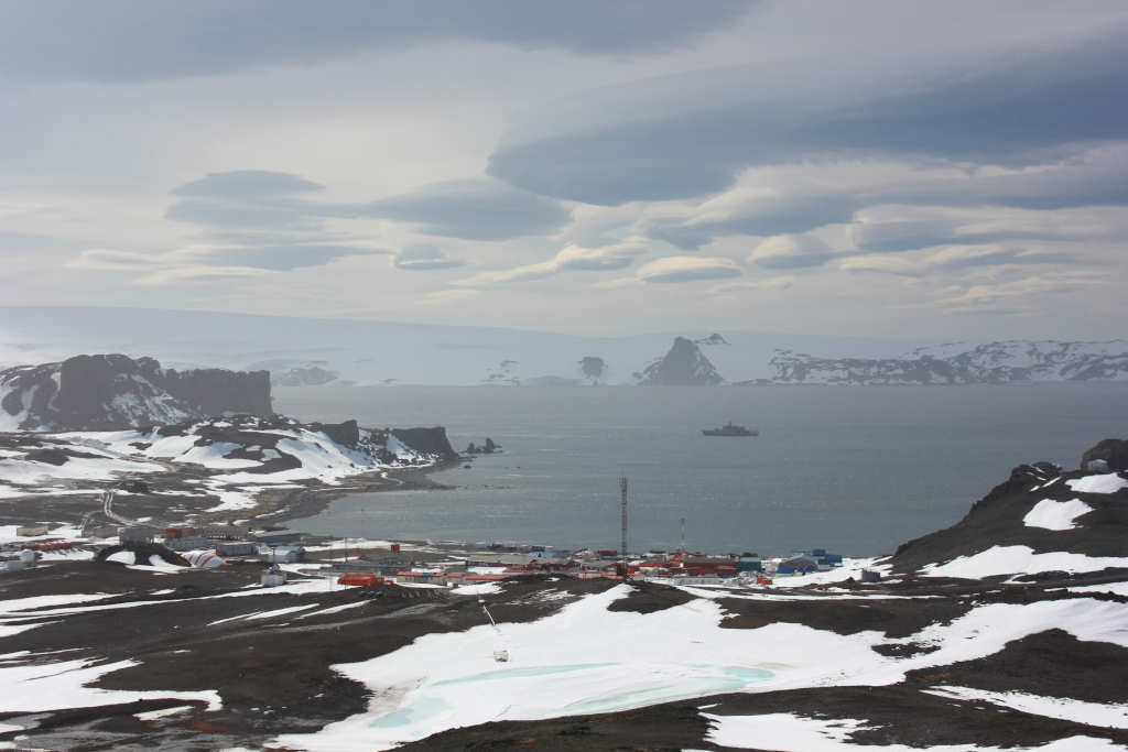 King George Island is the green part of Antarctica. Part 1 - My, Antarctica, Green Island, Работа мечты, Longpost