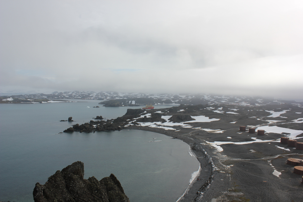 King George Island is the green part of Antarctica. Part 1 - My, Antarctica, Green Island, Работа мечты, Longpost