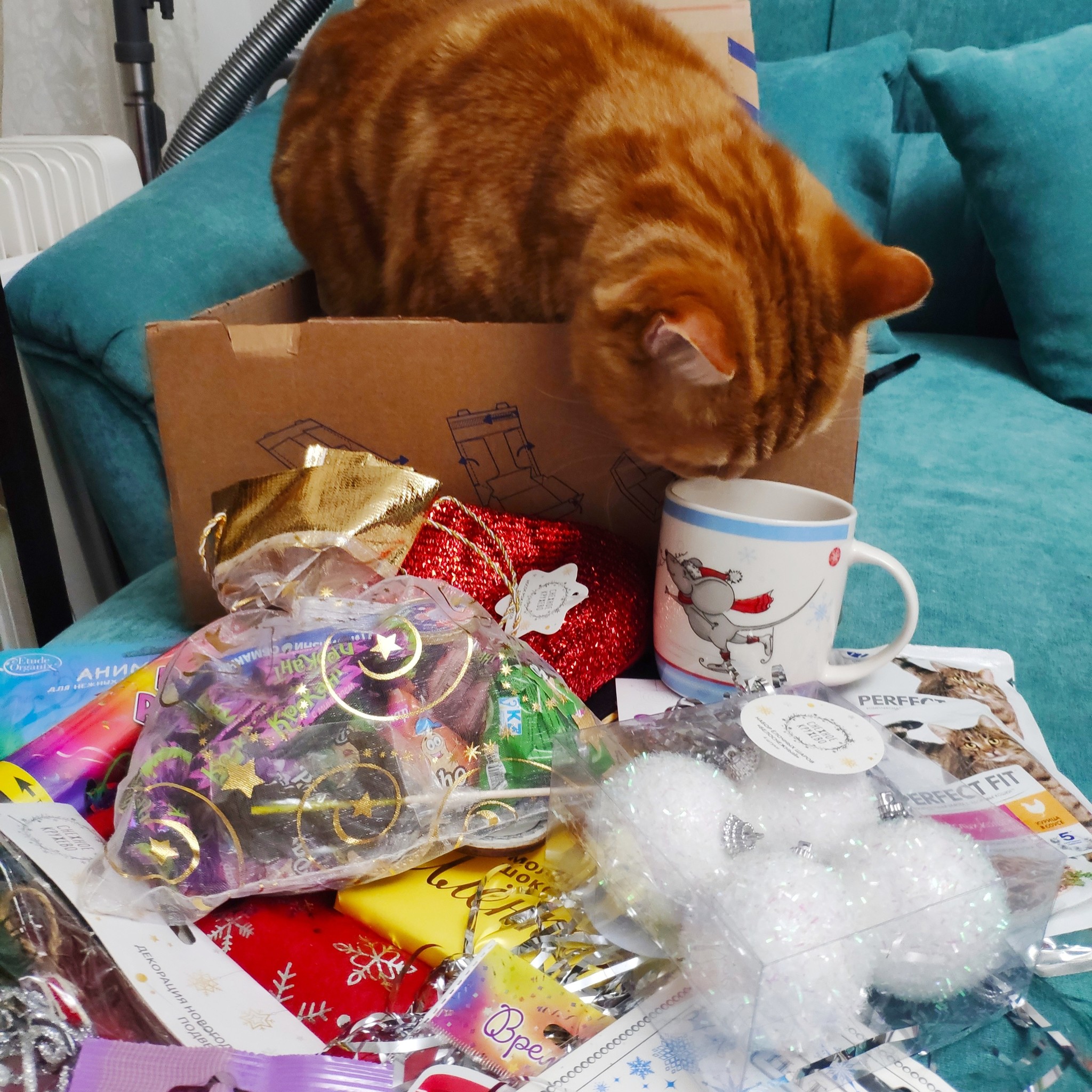 ADM. Zhukovsky - Omsk - Gift exchange, Father Frost, cat, New Year, Exchange, Longpost, Gift exchange report, Secret Santa