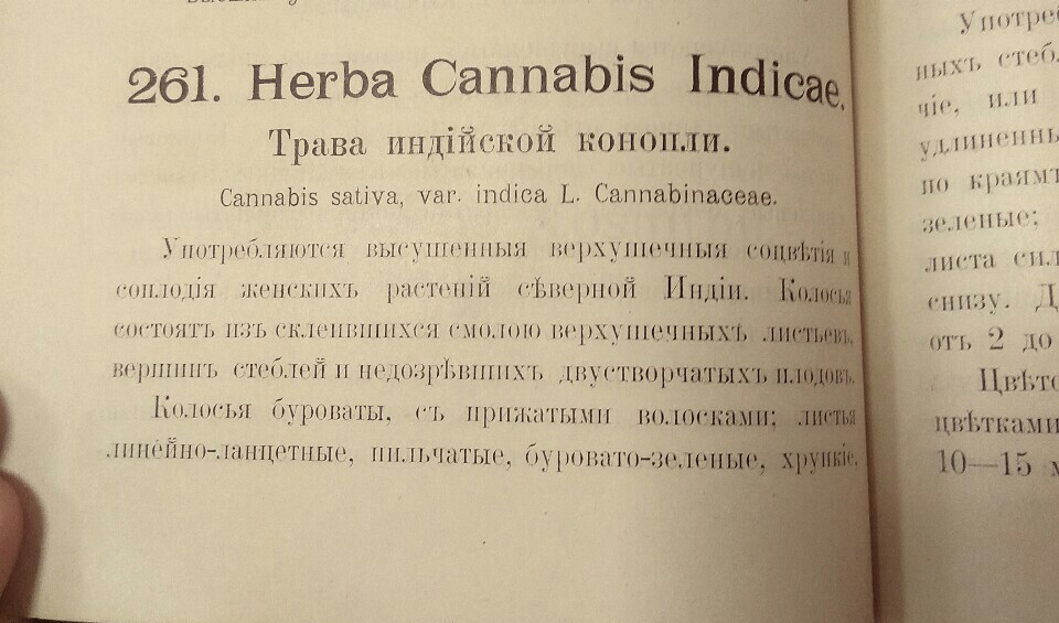 Pharmacopoeia of the Russian Empire 1910 - My, Pharmacopoeia, The medicine, Marijuana, Antiques, Old books, Interesting, Story, Longpost