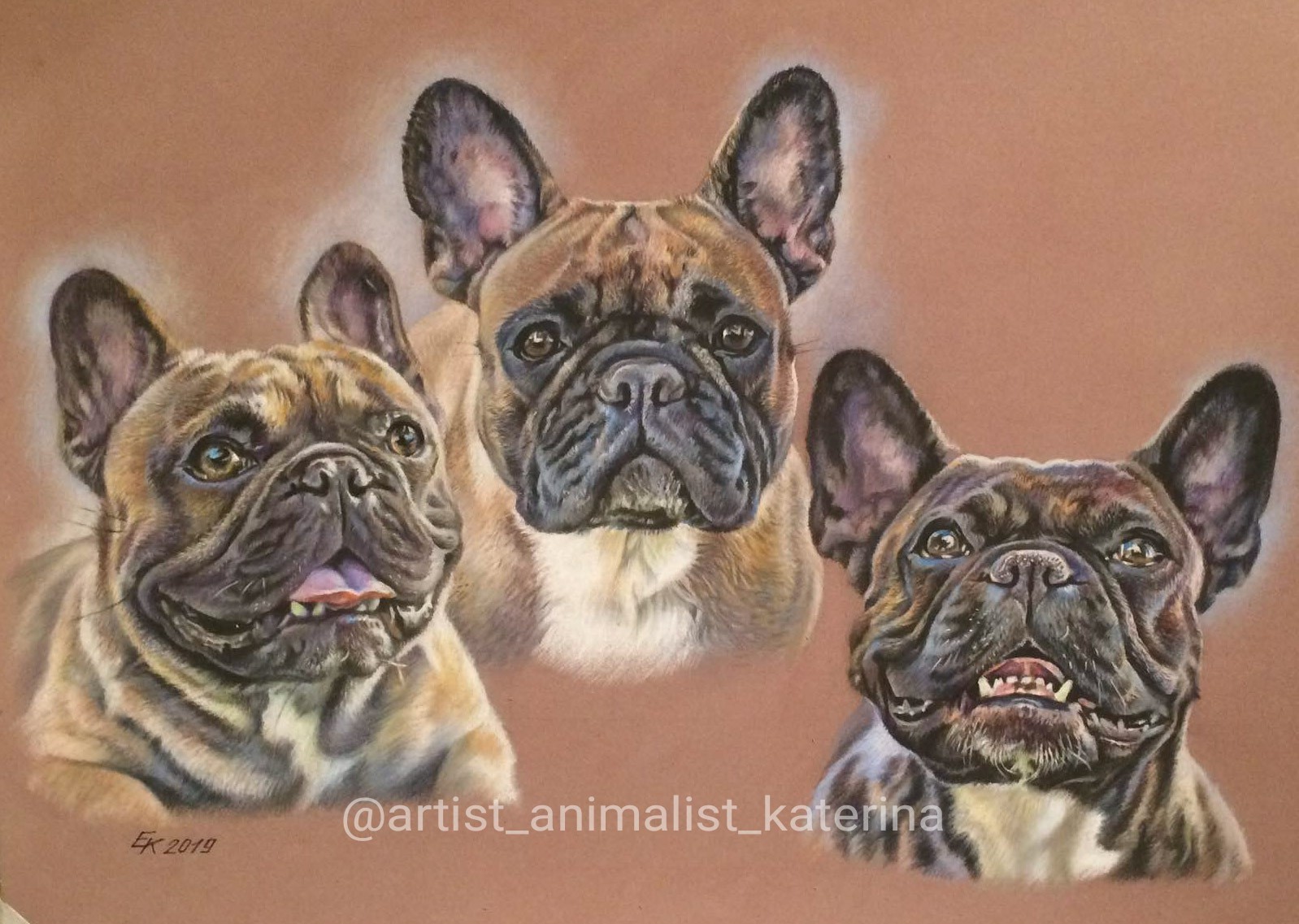 French bulldogs. Portrait made with dry pastel, PASTELMAT paper - My, French Bulldog, Artist, Dry pastel, Creation, Dog