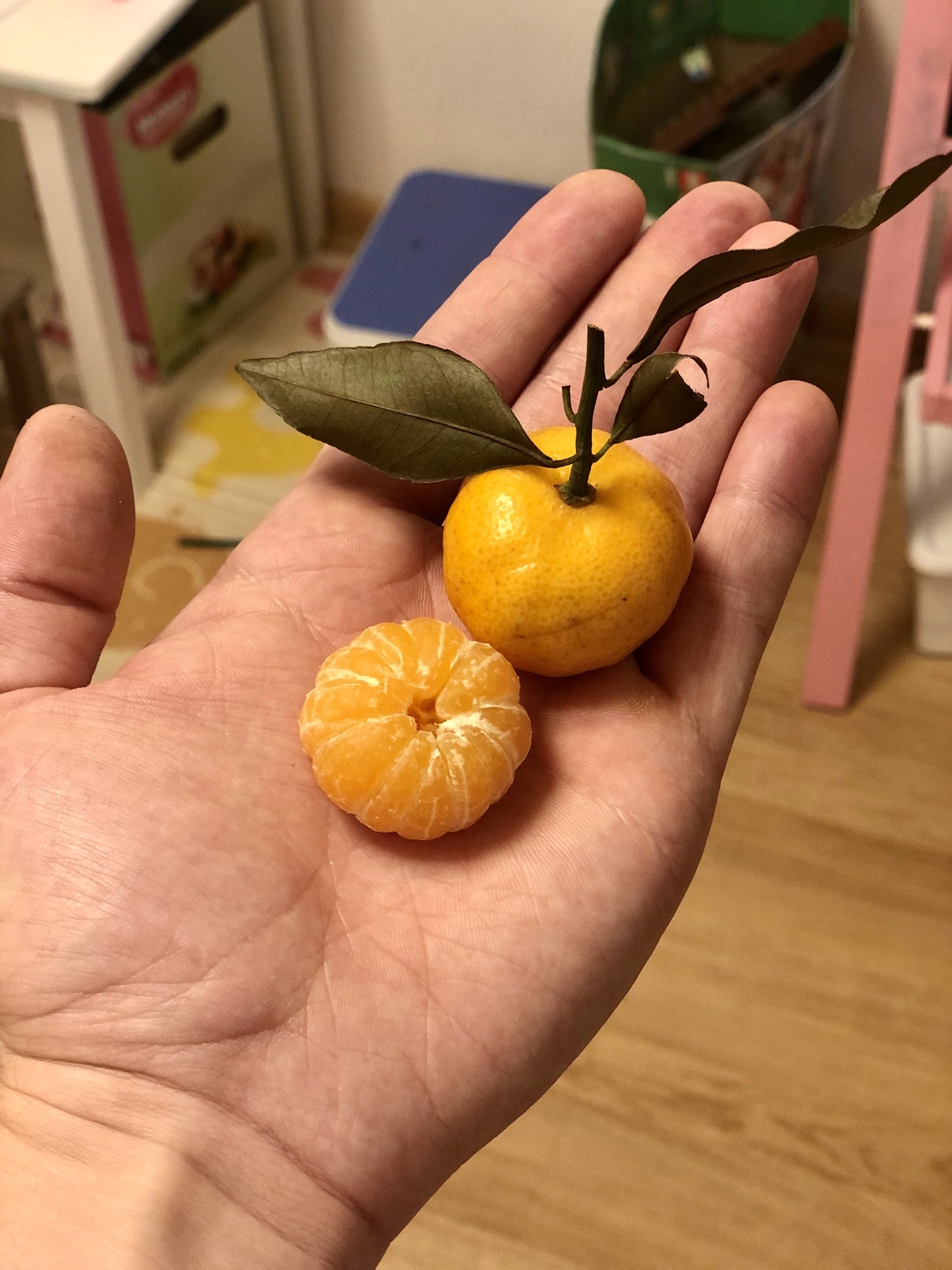 New Year's mood. Beginning - My, New Year, New Year's mood, Young, Tangerines