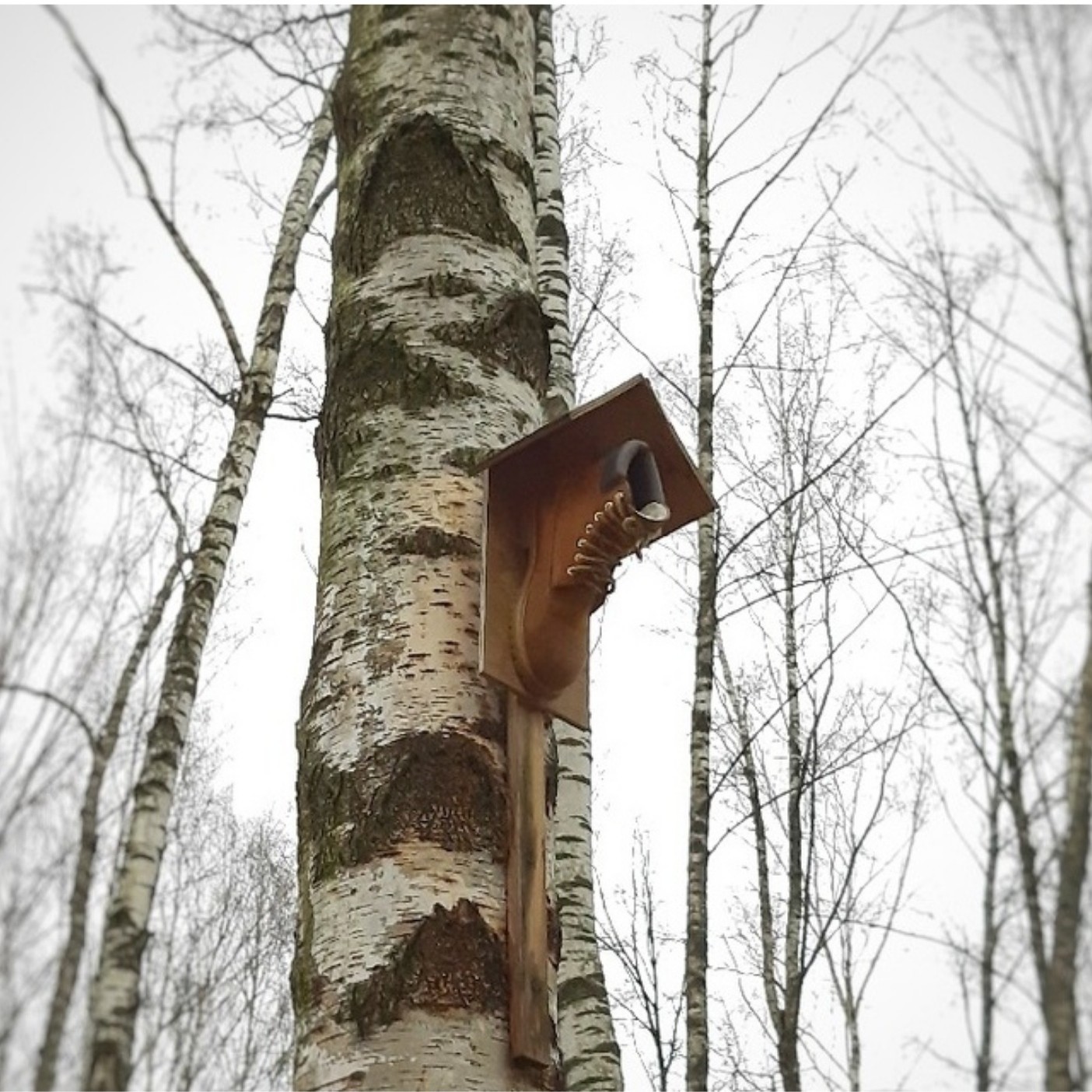 The now creative birdhouses have gone... - Birdhouse, Creative, Creative solution, Boots