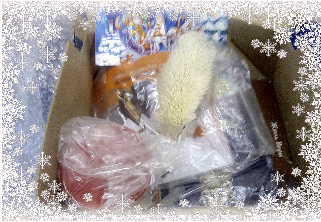 ADM 2019/2020 Bogdanovich - Uraj - My, Presents, Gift exchange report, New Year's gift exchange, Gift exchange, Longpost, Secret Santa, Hedgehog