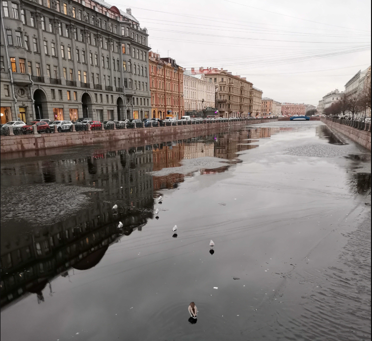 Jesus Seagulls - My, Saint Petersburg, Seagulls, Walking on water