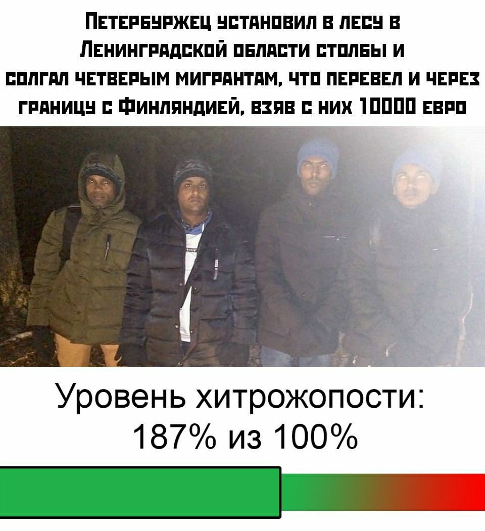 Диванный пограничник | Пикабу