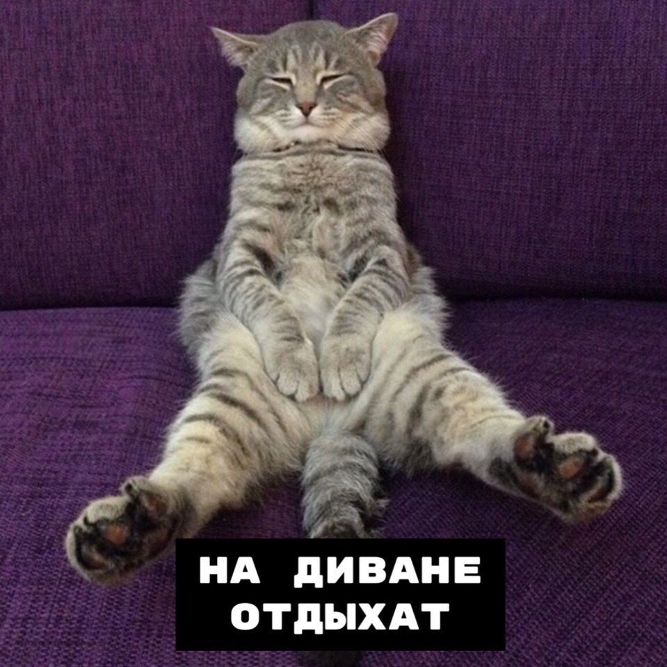 Мои суперспособности | Пикабу