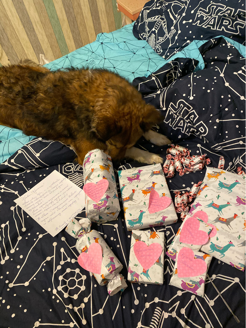 Exchange of gifts from Mirrochka. Travel of a gift from Moscow to Kostroma) - My, Gift exchange report, New Year's exchange from Mirrochka, Dog, Longpost, Gift exchange, Secret Santa