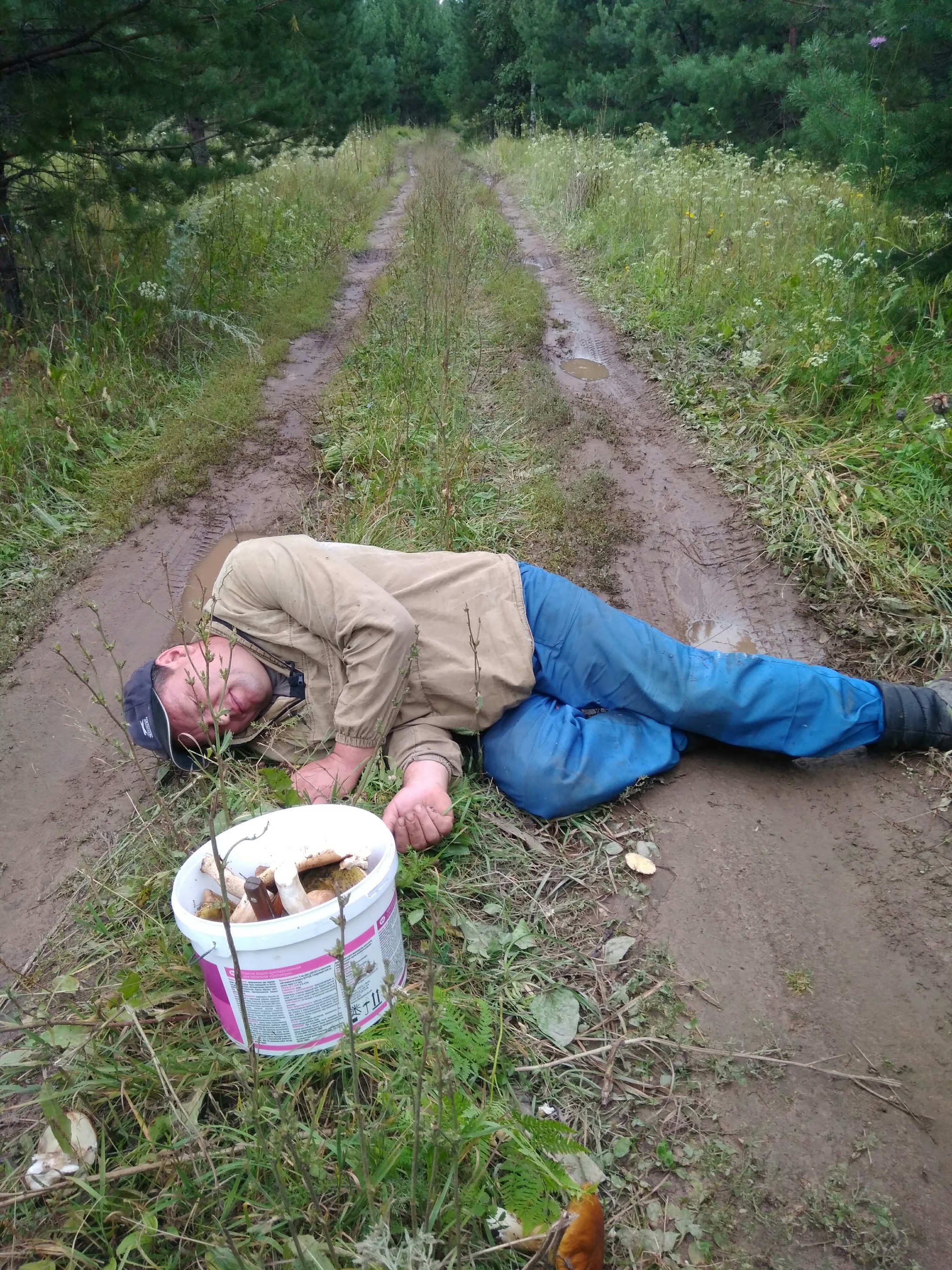 Жизнь в глуши, как всё начиналось. Часть 1 - Моё, Деревня, Из города в деревню, Длиннопост