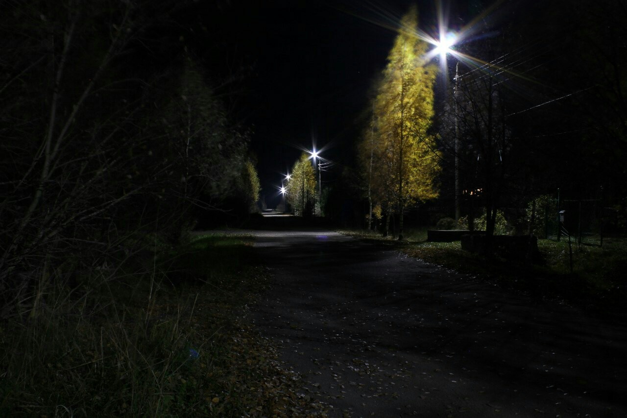 On the street - My, The photo, Pskov region