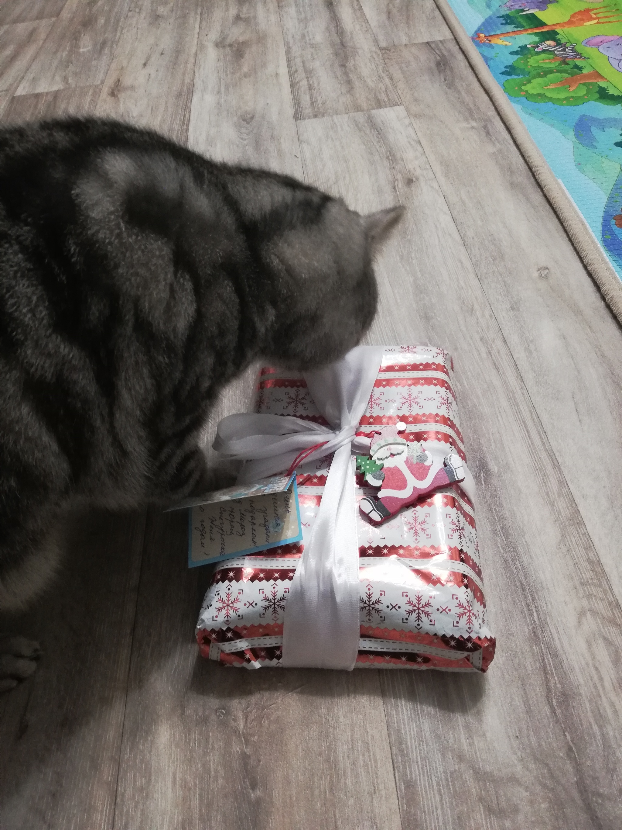 ADM Belgorod - Zarechny - Gift exchange report, Secret Santa, Zarechny, Belgorod, Longpost, cat, Gift exchange