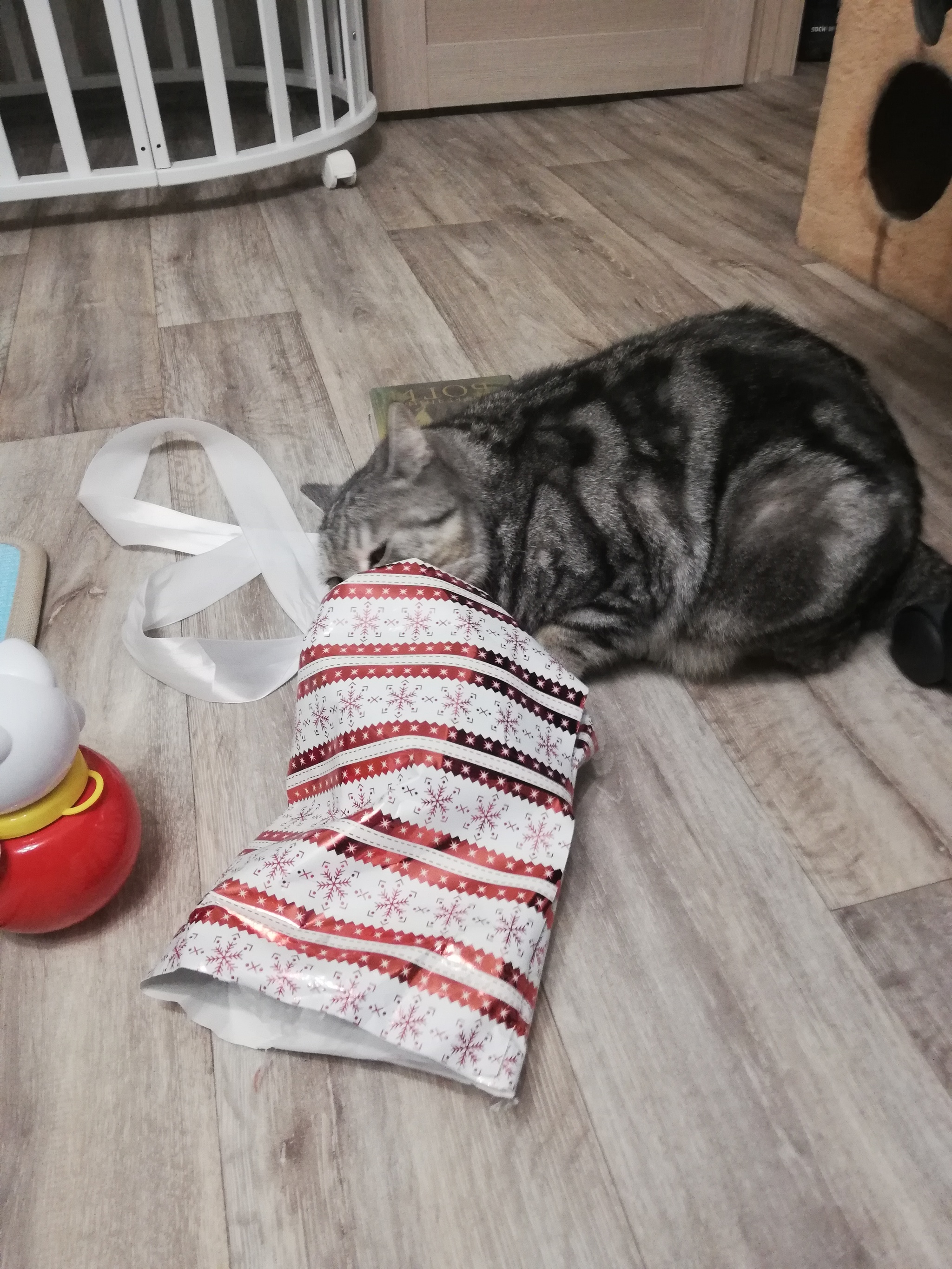 ADM Belgorod - Zarechny - Gift exchange report, Secret Santa, Zarechny, Belgorod, Longpost, cat, Gift exchange