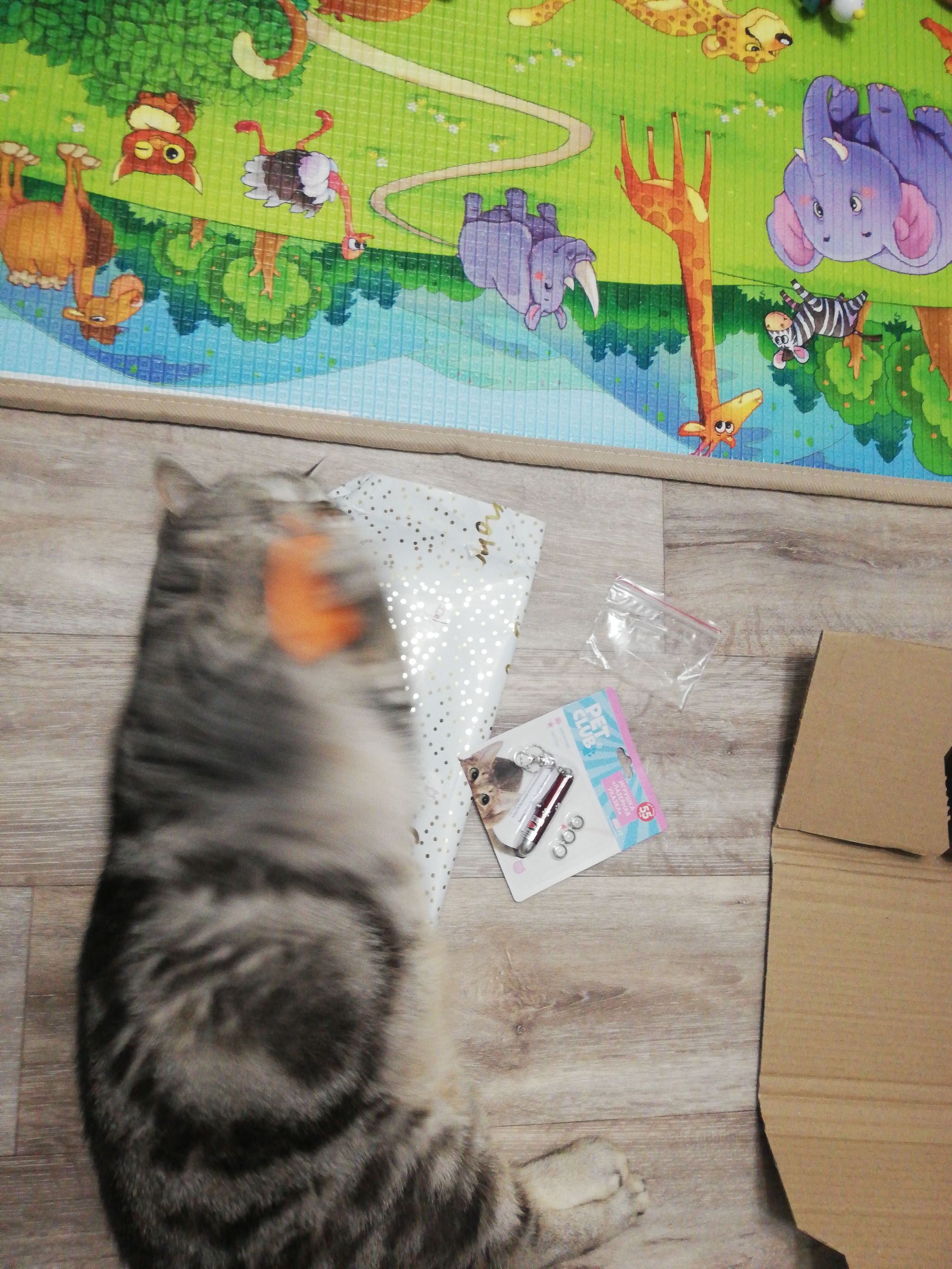 ADM Belgorod - Zarechny - Gift exchange report, Secret Santa, Zarechny, Belgorod, Longpost, cat, Gift exchange