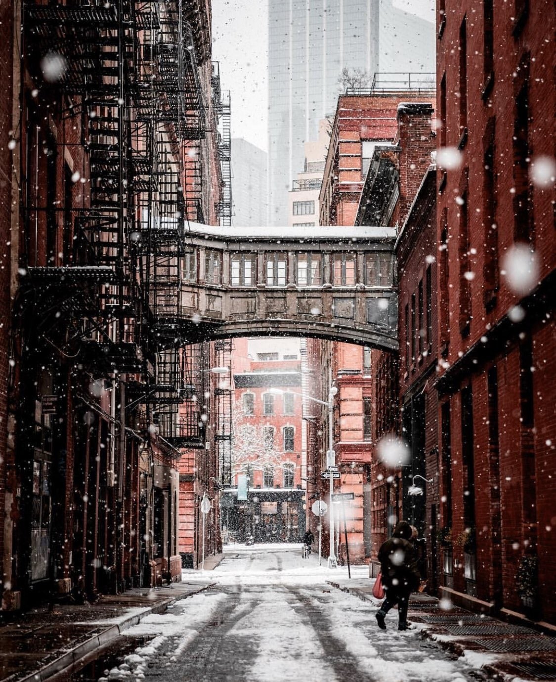 Winter New York - Winter, New York, beauty, Longpost