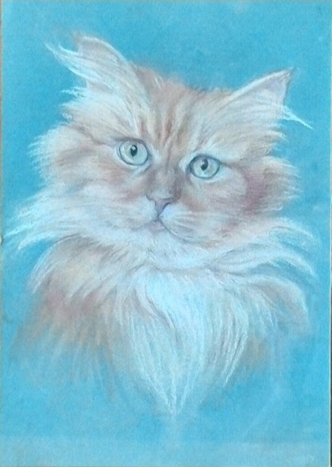 Cats - My, Art, Animalistics, cat