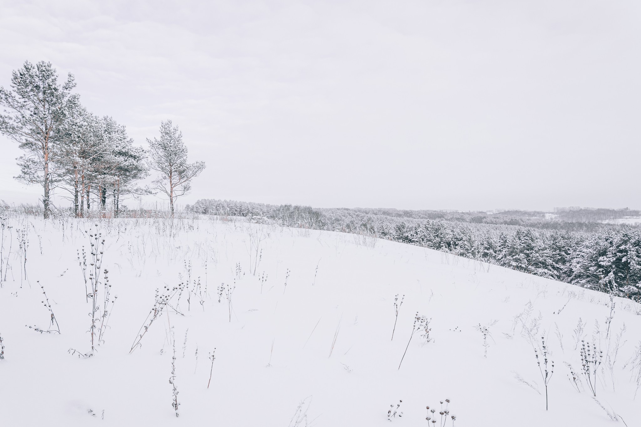 Winter post - The photo, Winter, Siberia, Longpost