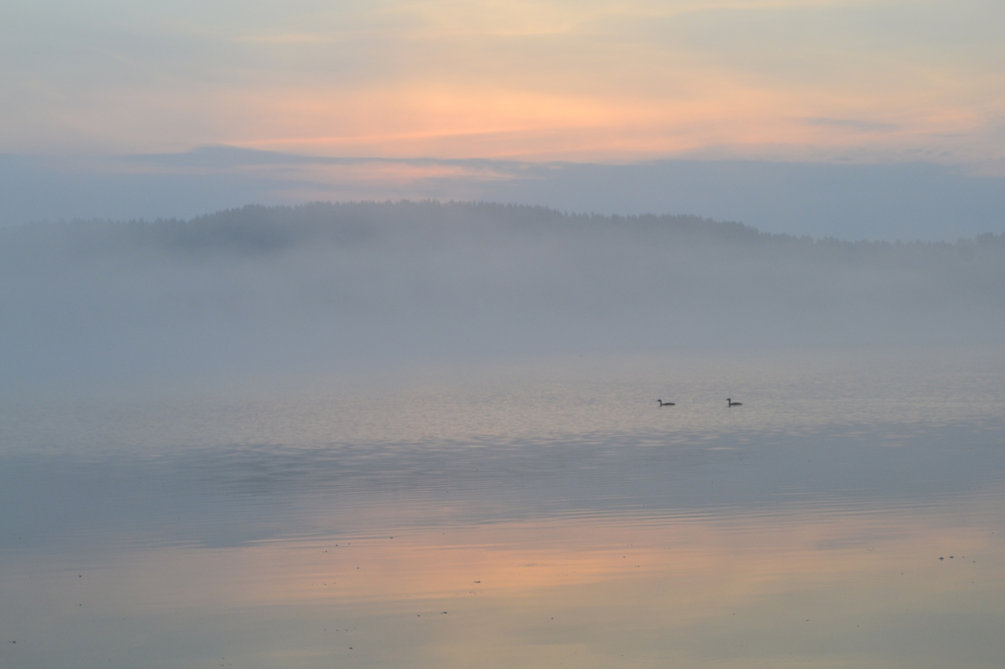 Bathhouse and ducks early in the morning - My, Карелия, Sortavala, Canon