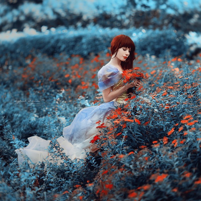 Plunge into a fairy-tale world...the world of photography - The photo, From the network, Girls, Longpost