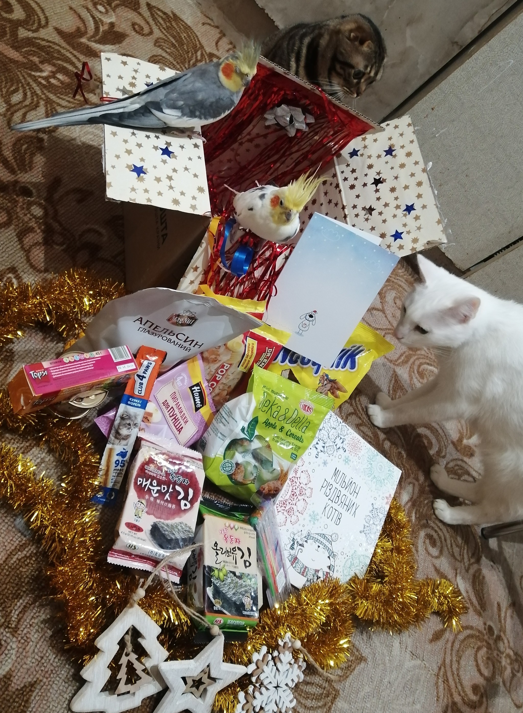 ADM Dnepr - Kyiv - My, Gift exchange, Secret Santa, Gift exchange report, Longpost