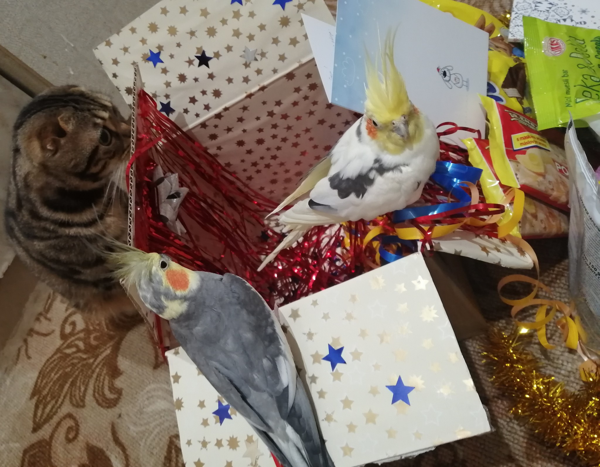 ADM Dnepr - Kyiv - My, Gift exchange, Secret Santa, Gift exchange report, Longpost