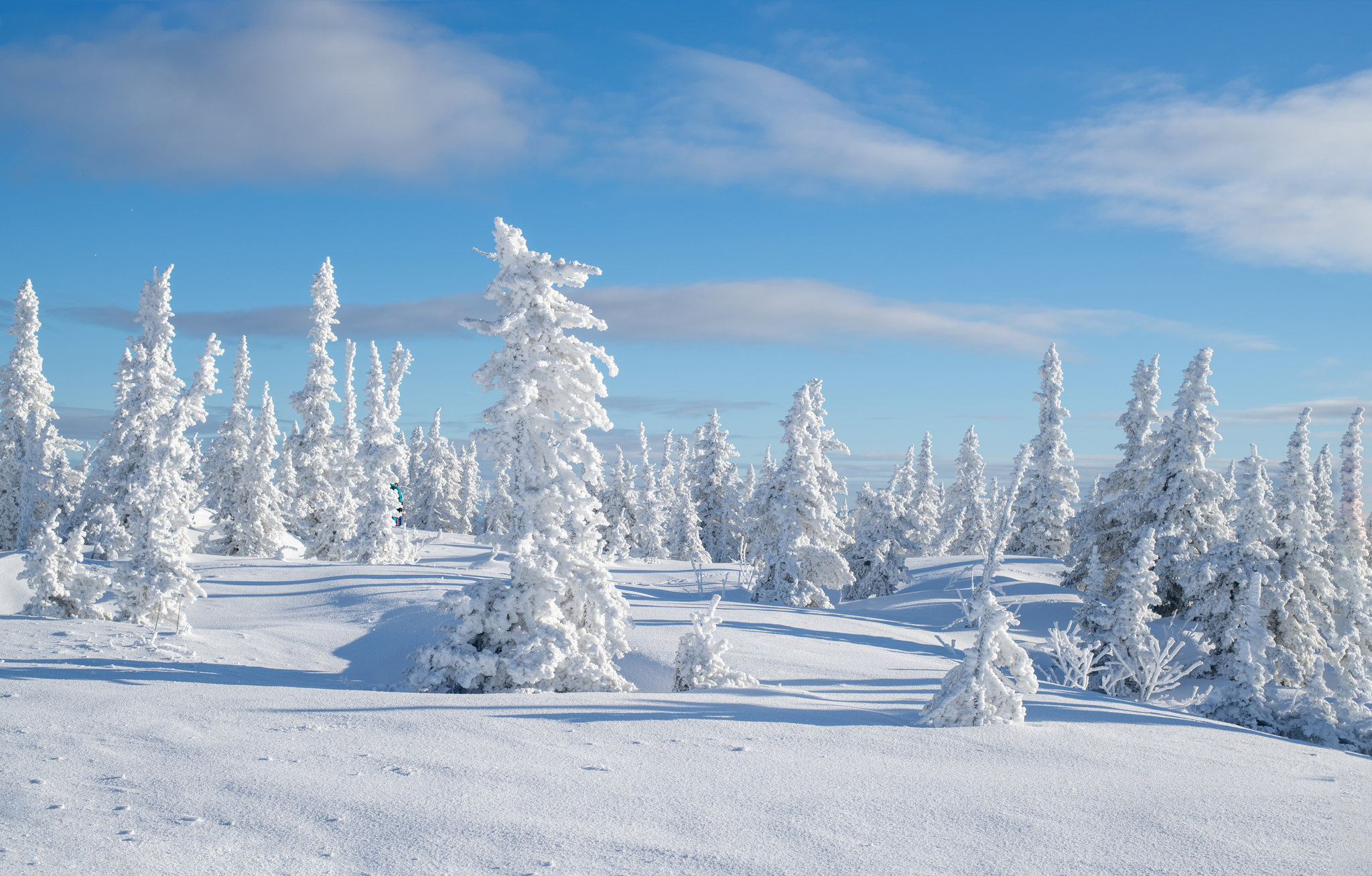 Winter's Tale - My, Christmas trees, The mountains, Sheregesh, Green Mountain, Landscape, Winter, Nikon, Longpost