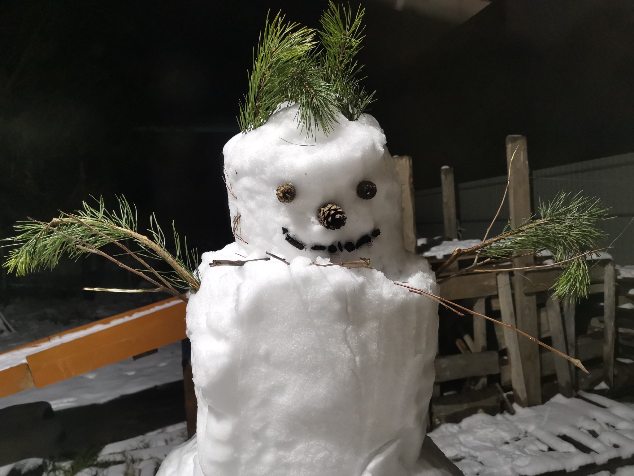 White Walkers are already breaking into the house - My, Kazan, snowman, Novye Salmachi, The photo, My house, White walkers, Longpost