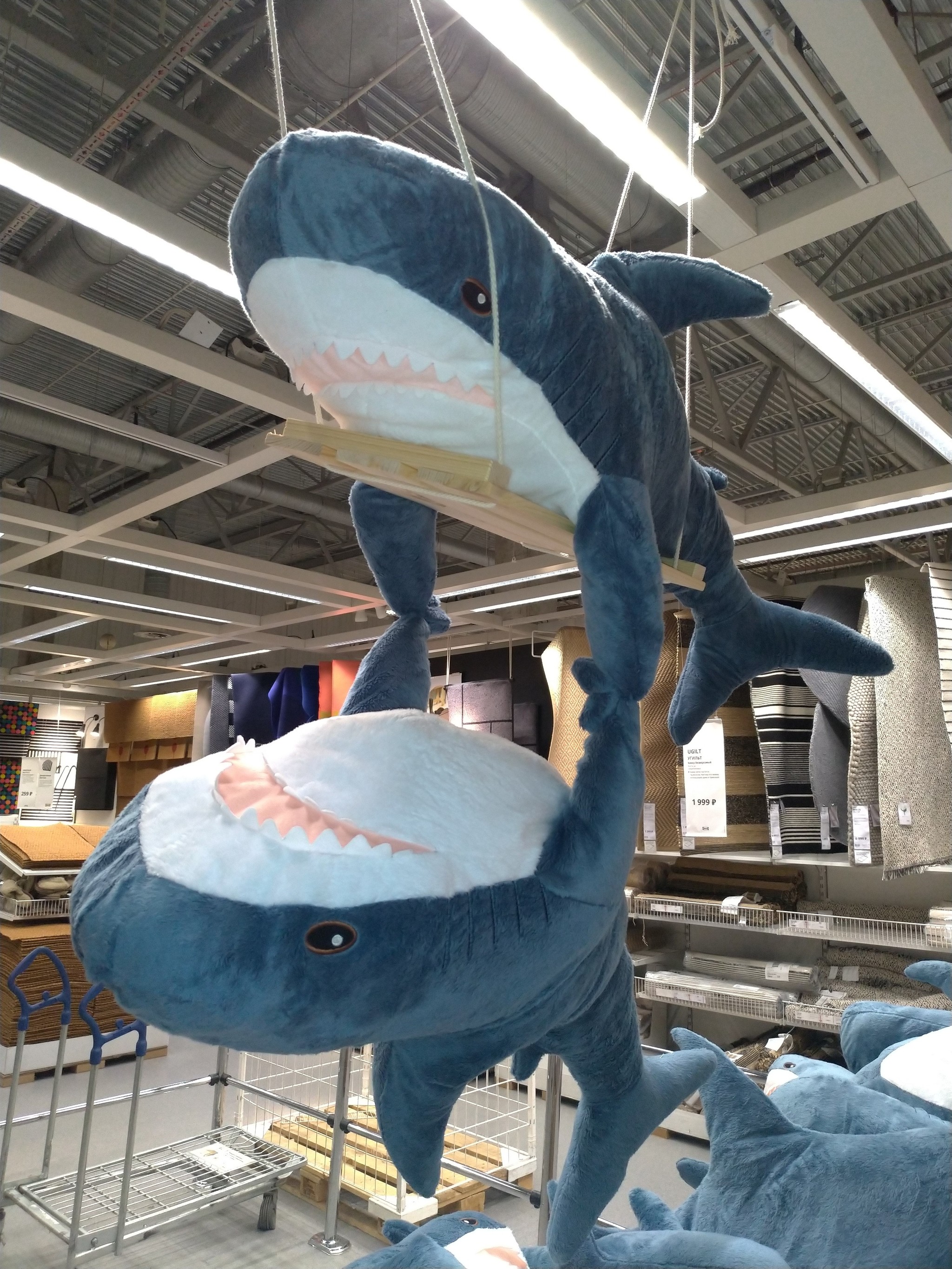 B-mutual aid - IKEA, Shark, Blohey