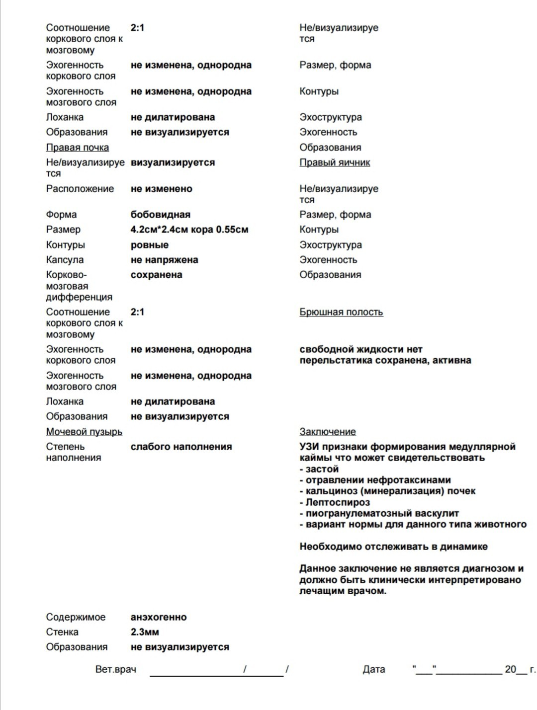 Нужна помощь. Заболел кот. Часть 2 - Моё, Помощь, Длиннопост, Ветеринария, Кот