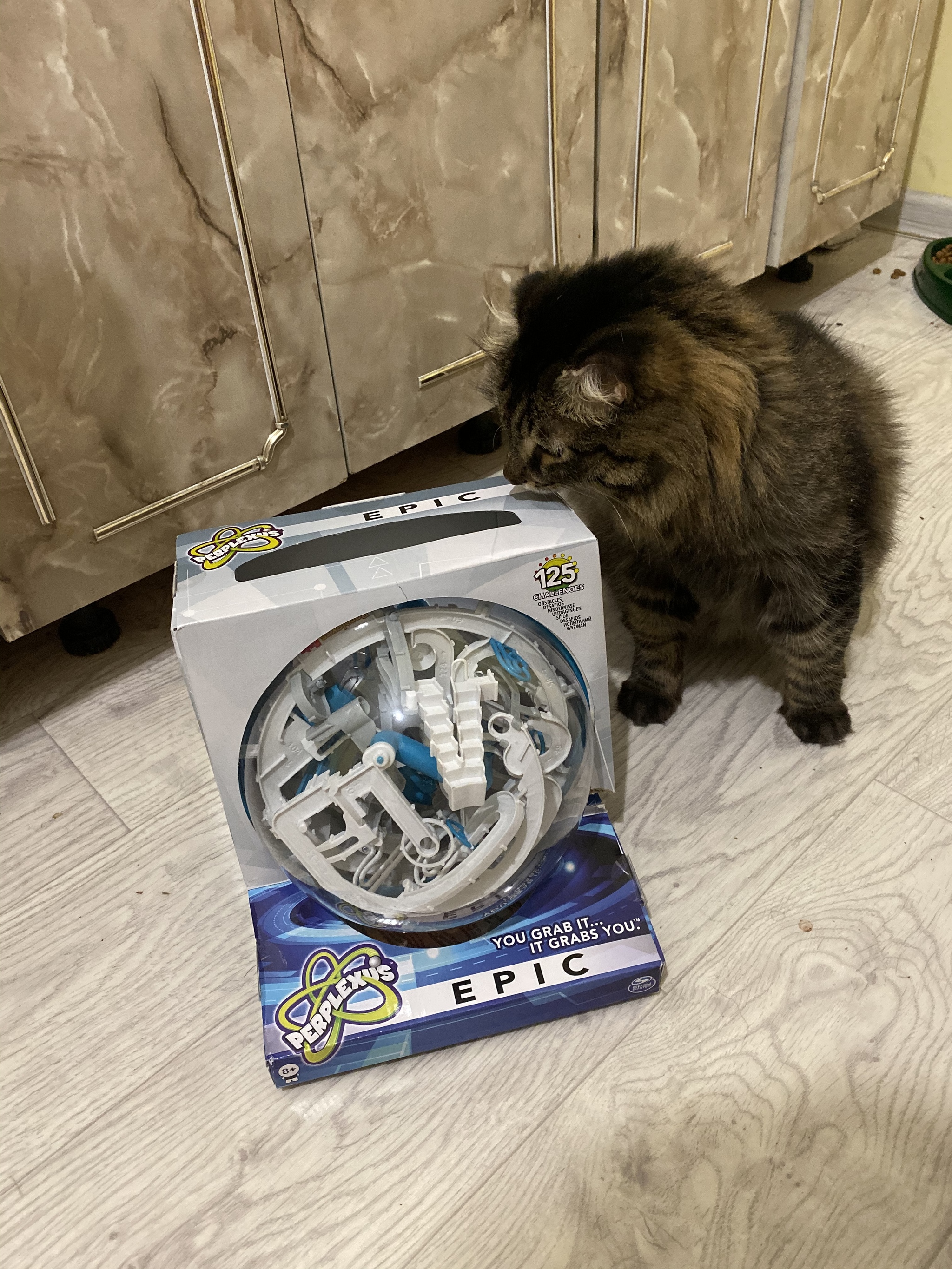 ADM 19/20 BALASHIKHA-YAKUTSK - My, Gift exchange, Secret Santa, Longpost, Gift exchange report, New Year's gift exchange, cat