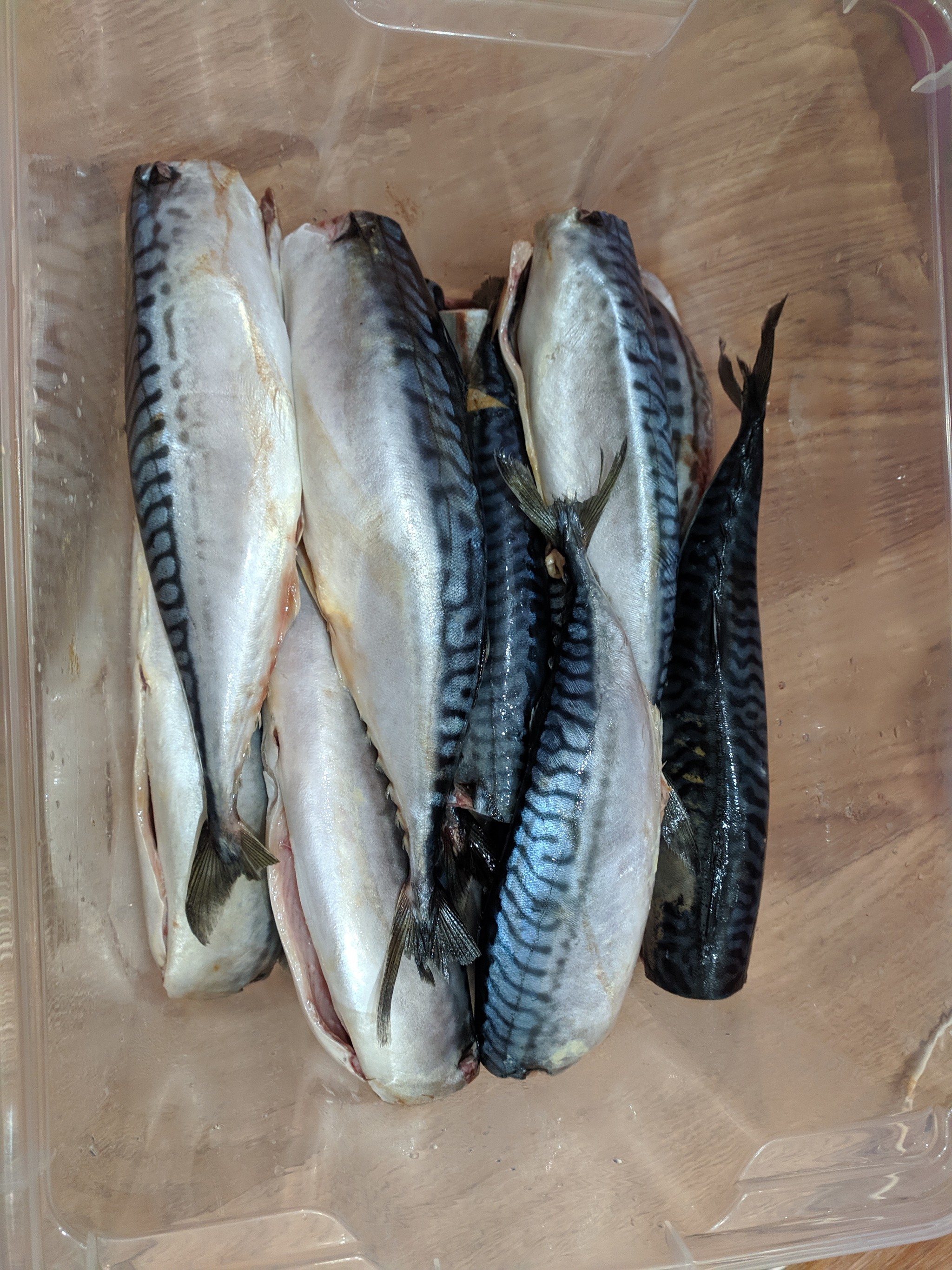 Hot smoked mackerel - My, Mackerel, A fish, Food, Hot smoking, Longpost