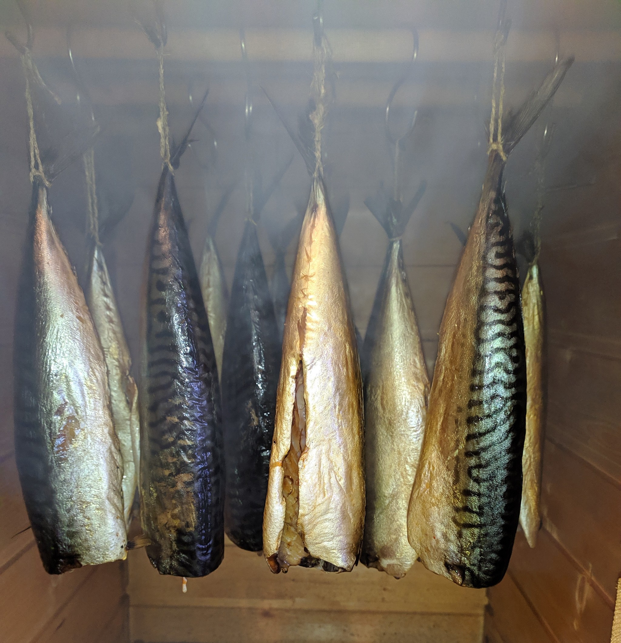 Hot smoked mackerel - My, Mackerel, A fish, Food, Hot smoking, Longpost